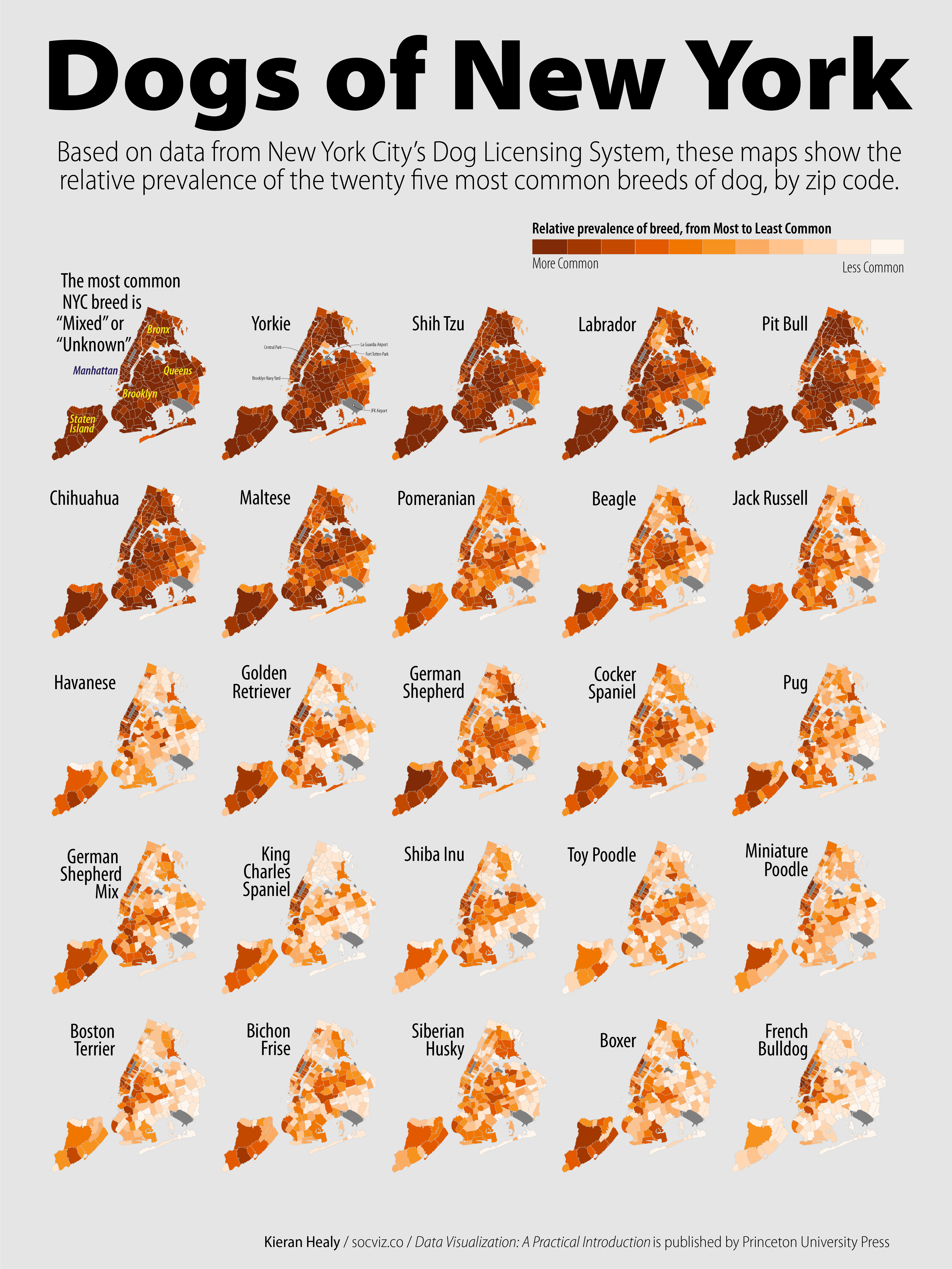 50+ General Dog Breeds Facts Every Person Should Know