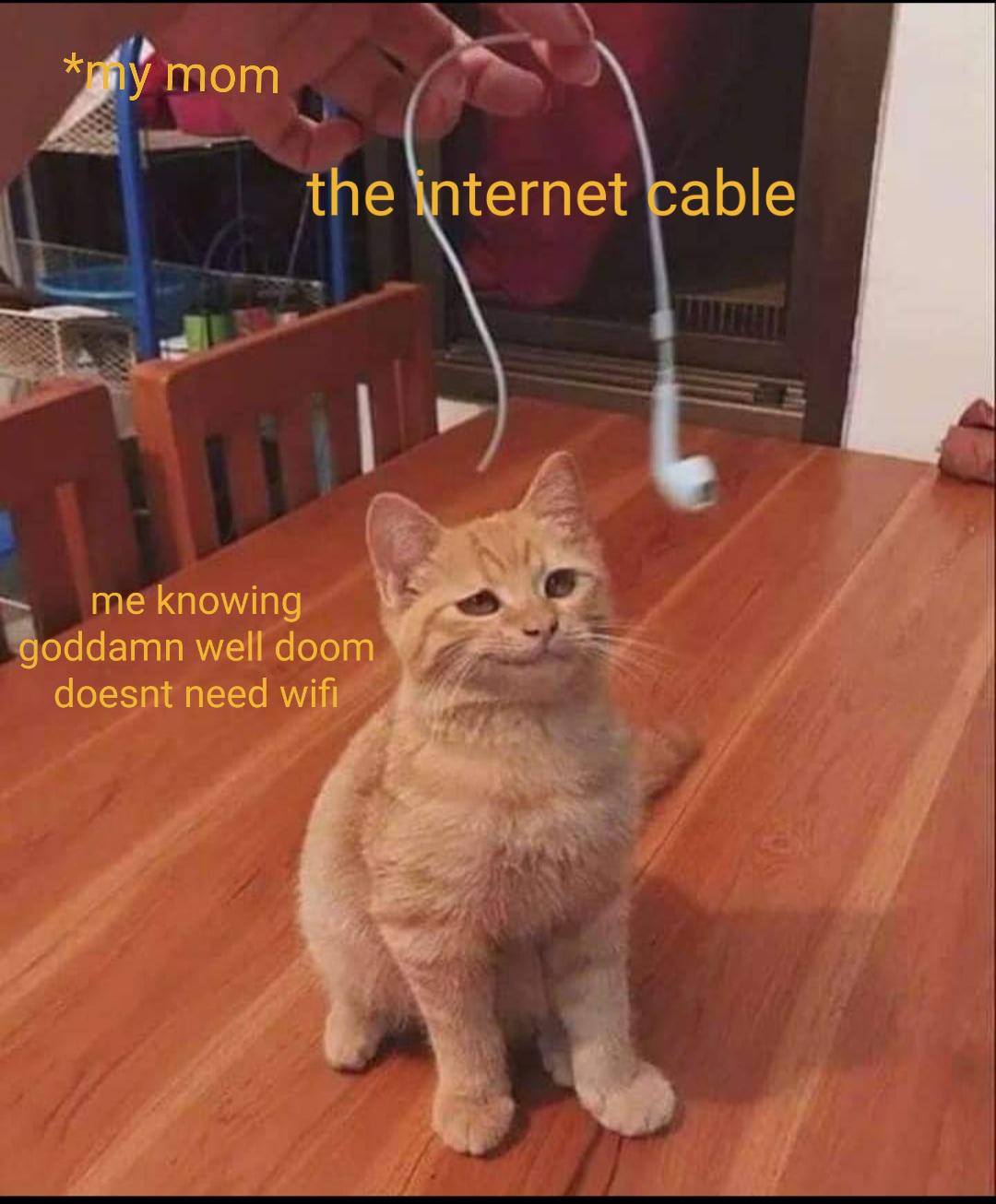 Confident cat looking at cable r/MemeTemplatesOfficial