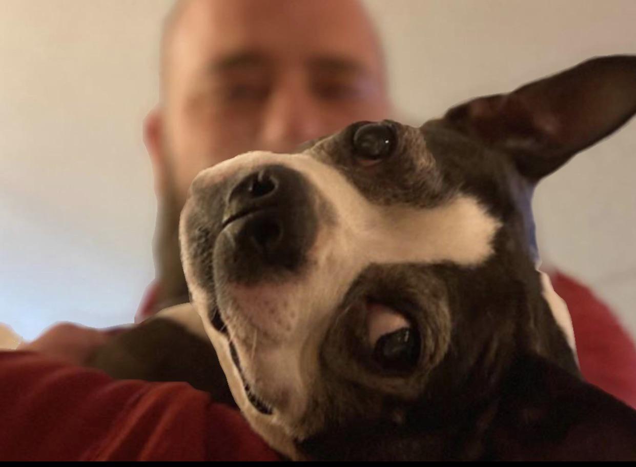 Lola Lynn : dogpictures