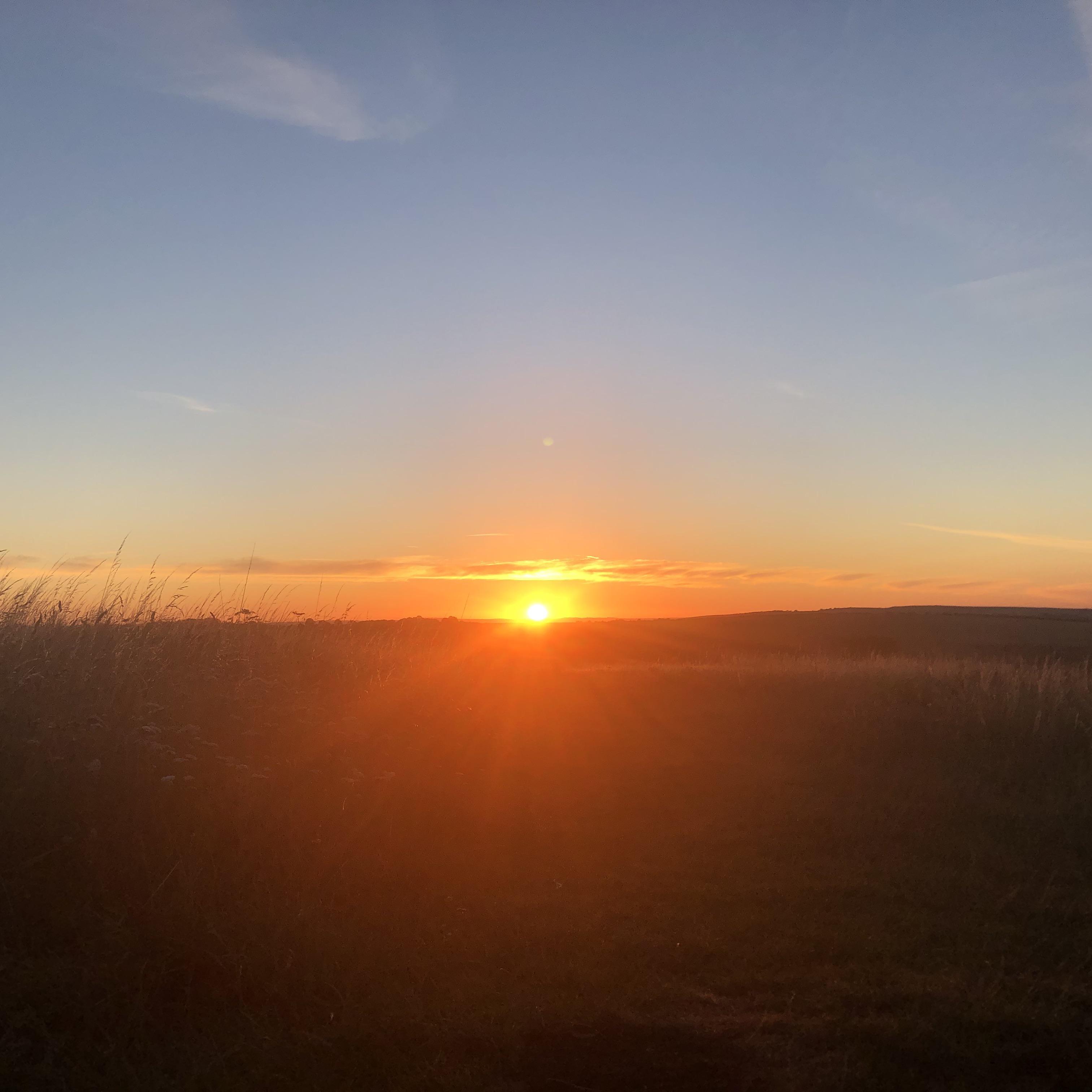 Woke up at 3am today to shout Love It If We Made It at the sunrise. 10/10 ) r/the1975