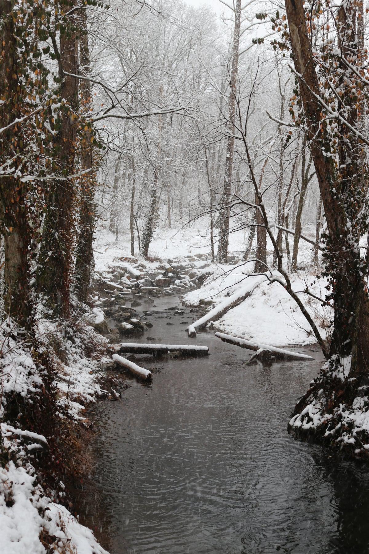 I took this photo of snow falling on a creek in Bentonville last Sunday