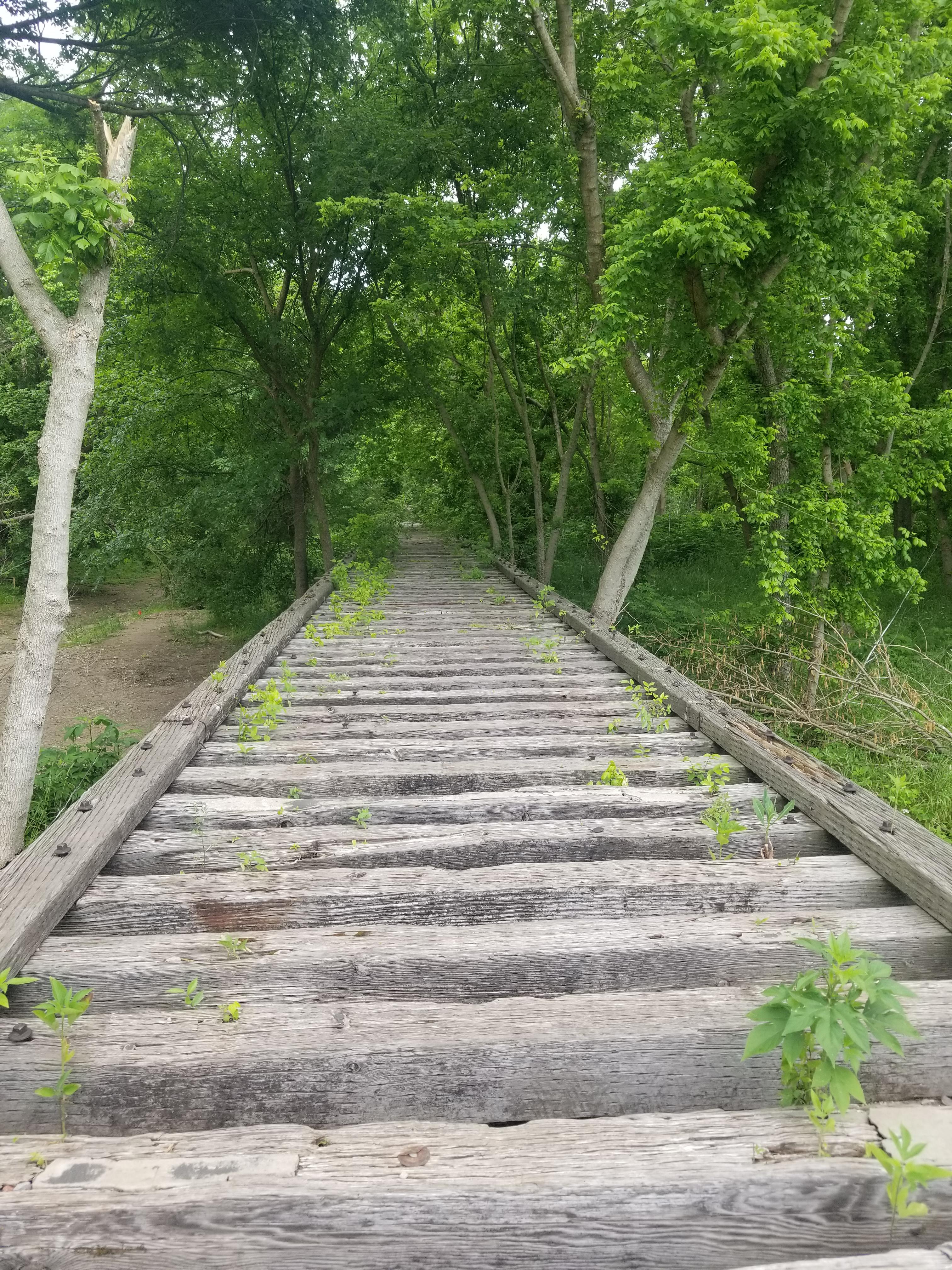 Old railroad track reclaimed by the forest. r/reclaimedbynature