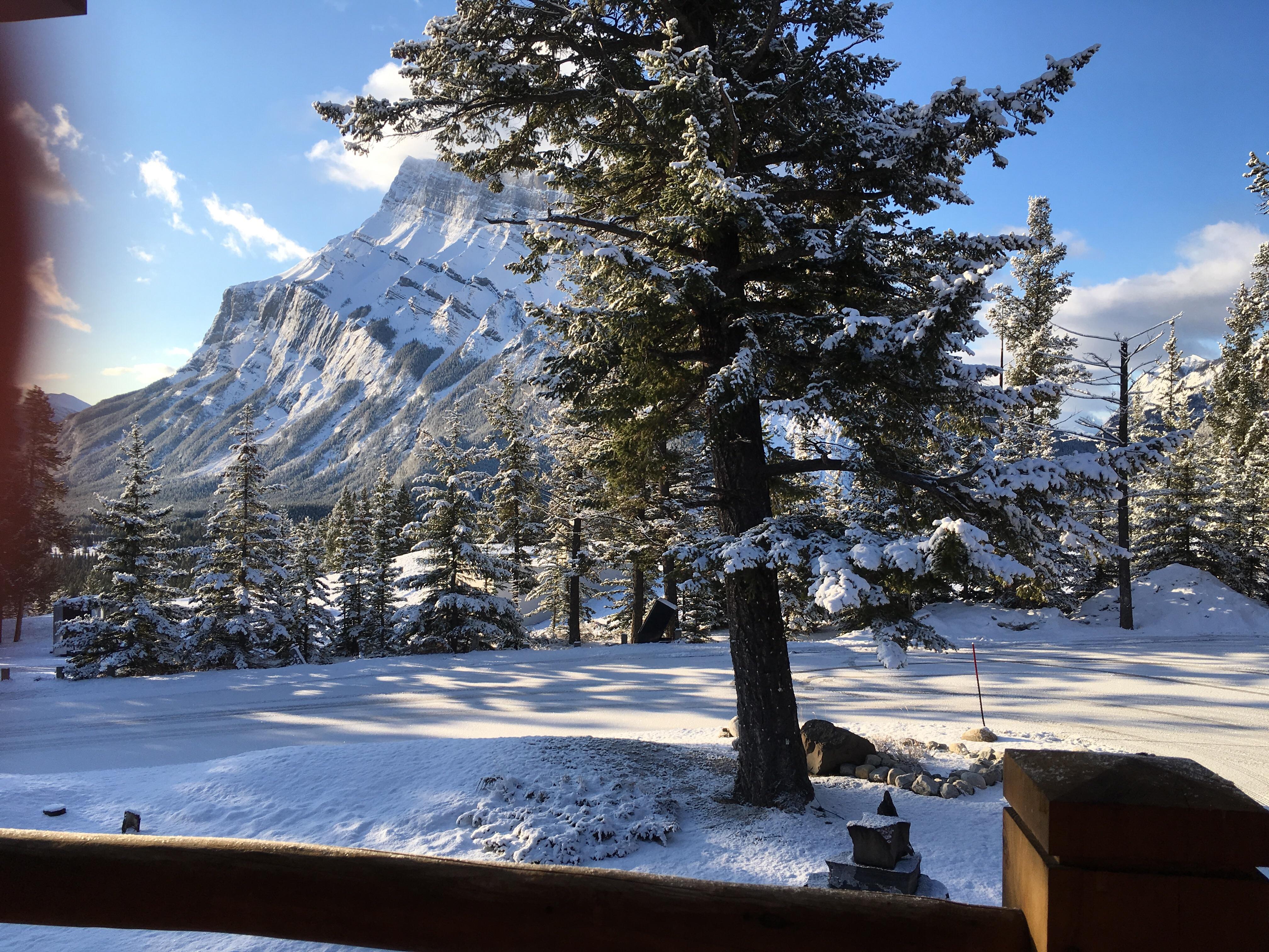 to spring in Banff Alberta! r/neature