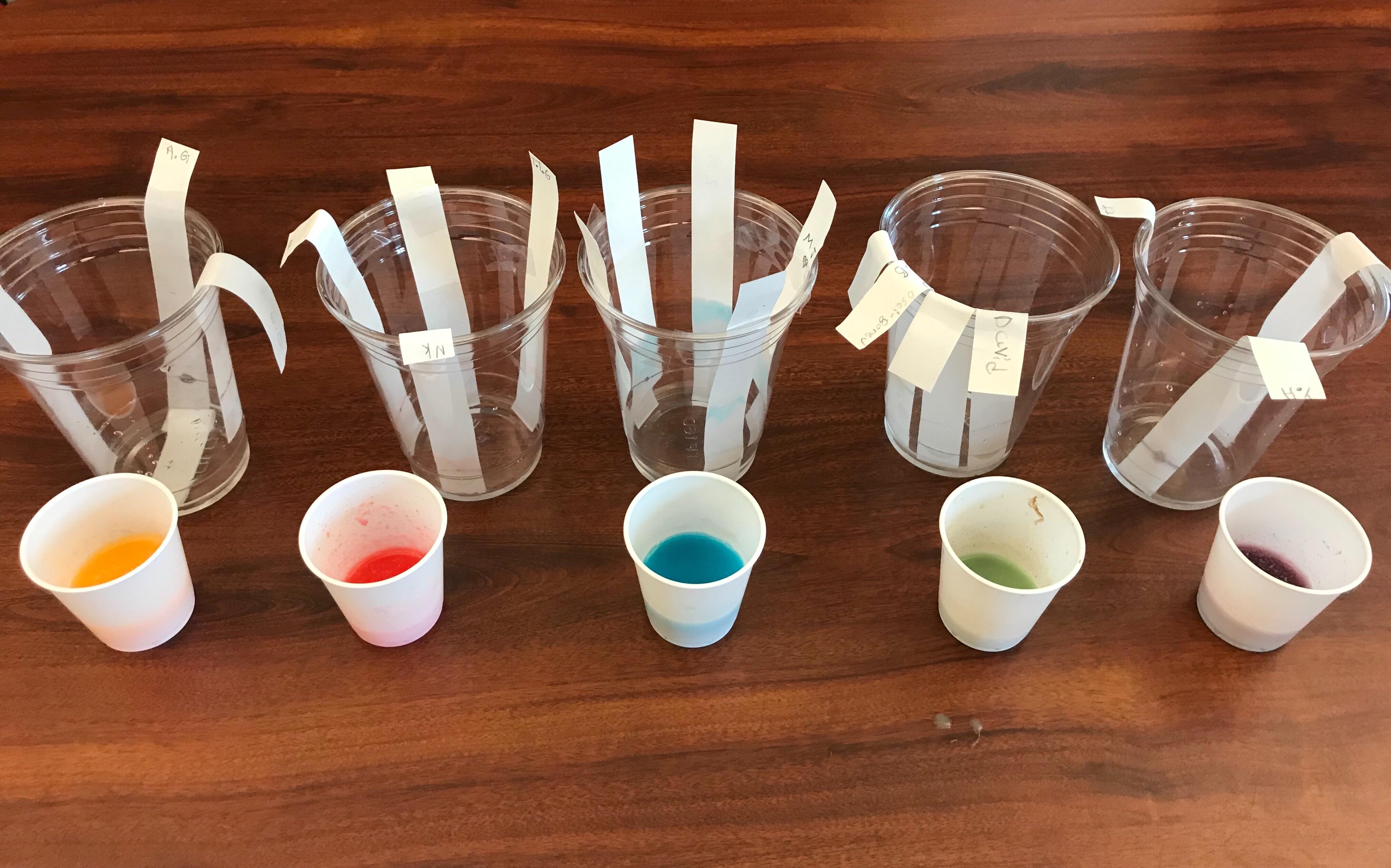 First candy chromatography with 4th graders so much fun! Yet a major