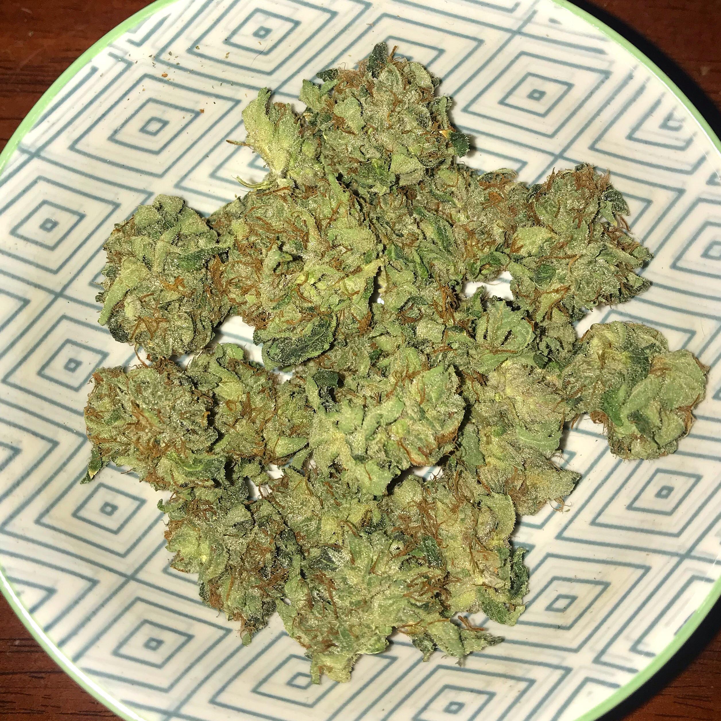 Gelato bowl 😋🍨 r/ausents