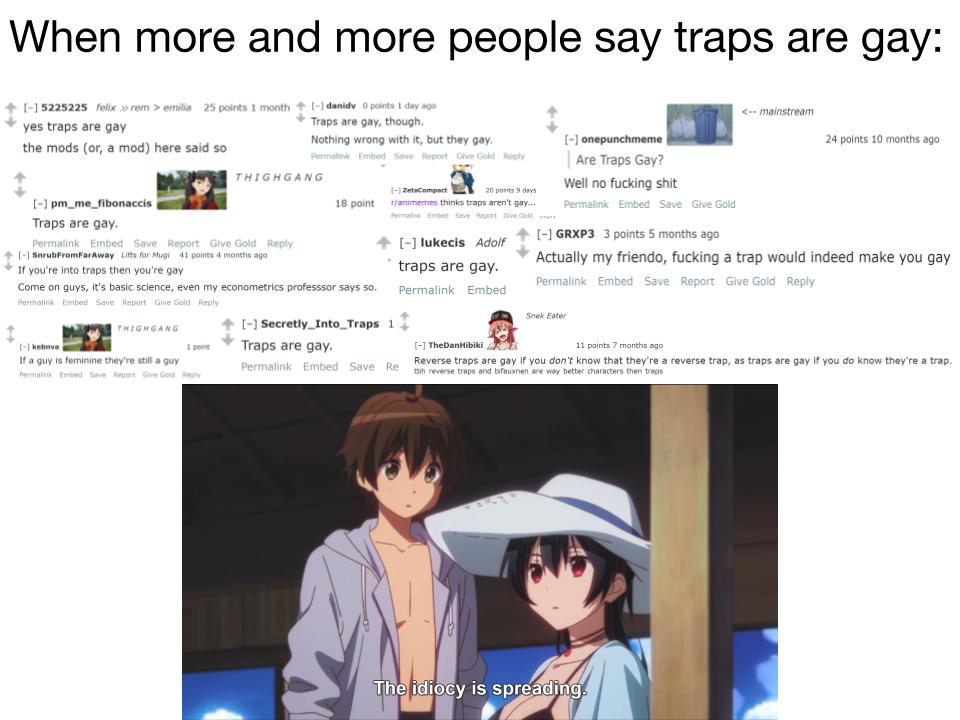why do people keep saying traps are gay Animemes