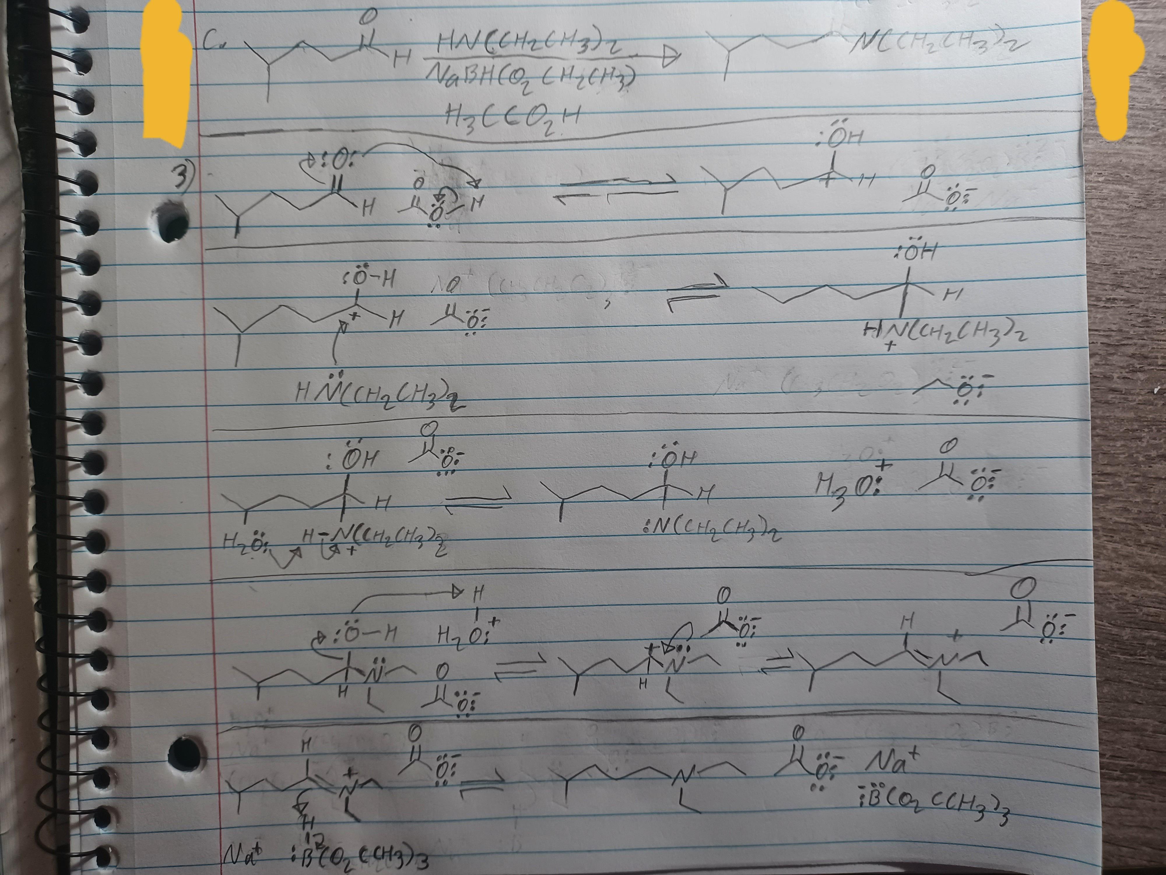 Just wanna check and see if prediction and mechanism of the top