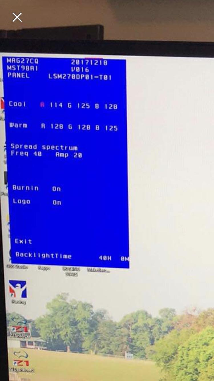 Not sure why this blue screen pops up on fire up. Help r/MSILaptops