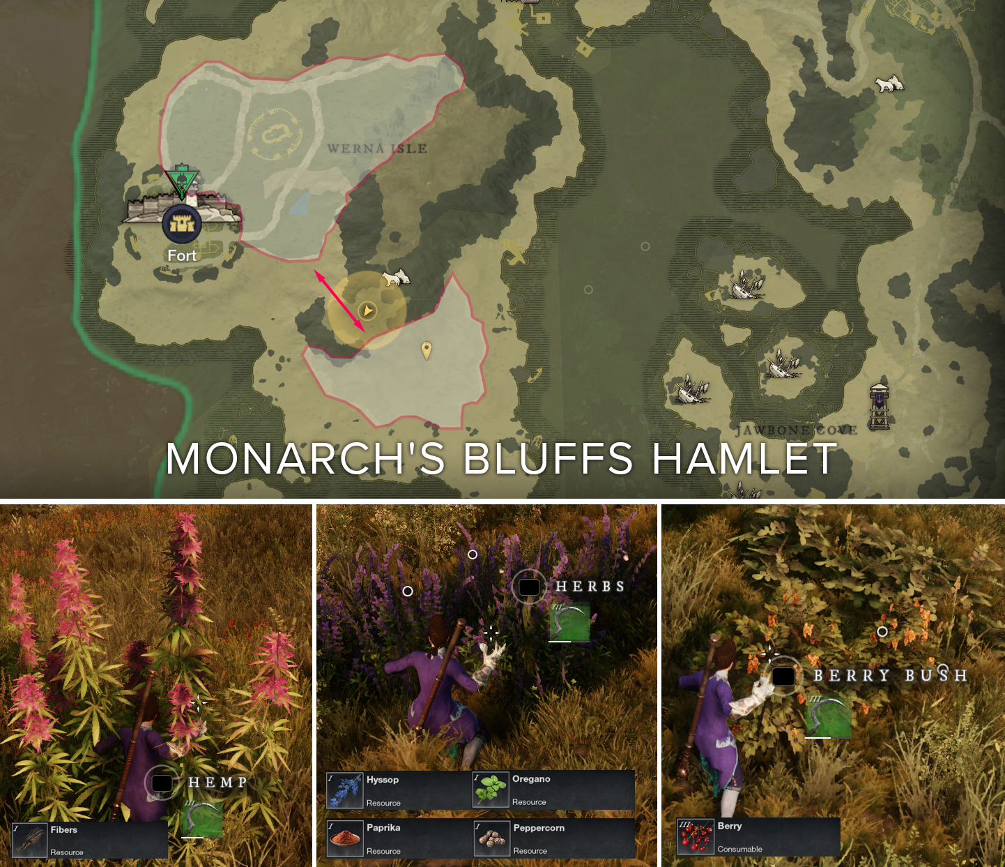 Harvesting rotation for beginners on Monarch's Bluffs Hamlet r