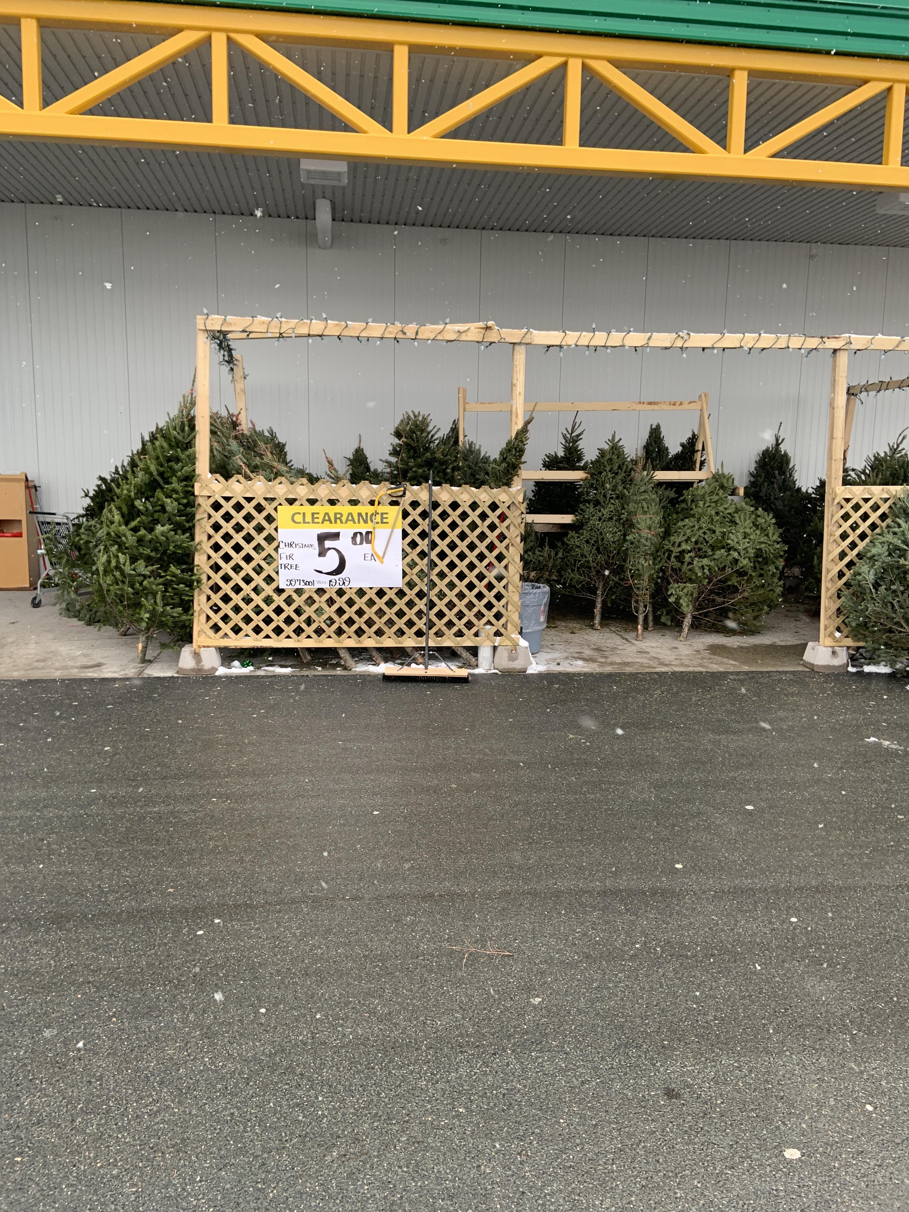 5 Christmas trees at Kent’s in DC r/halifax