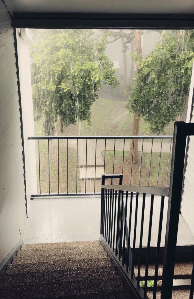 Rain outside my apartment, so calming r/raining