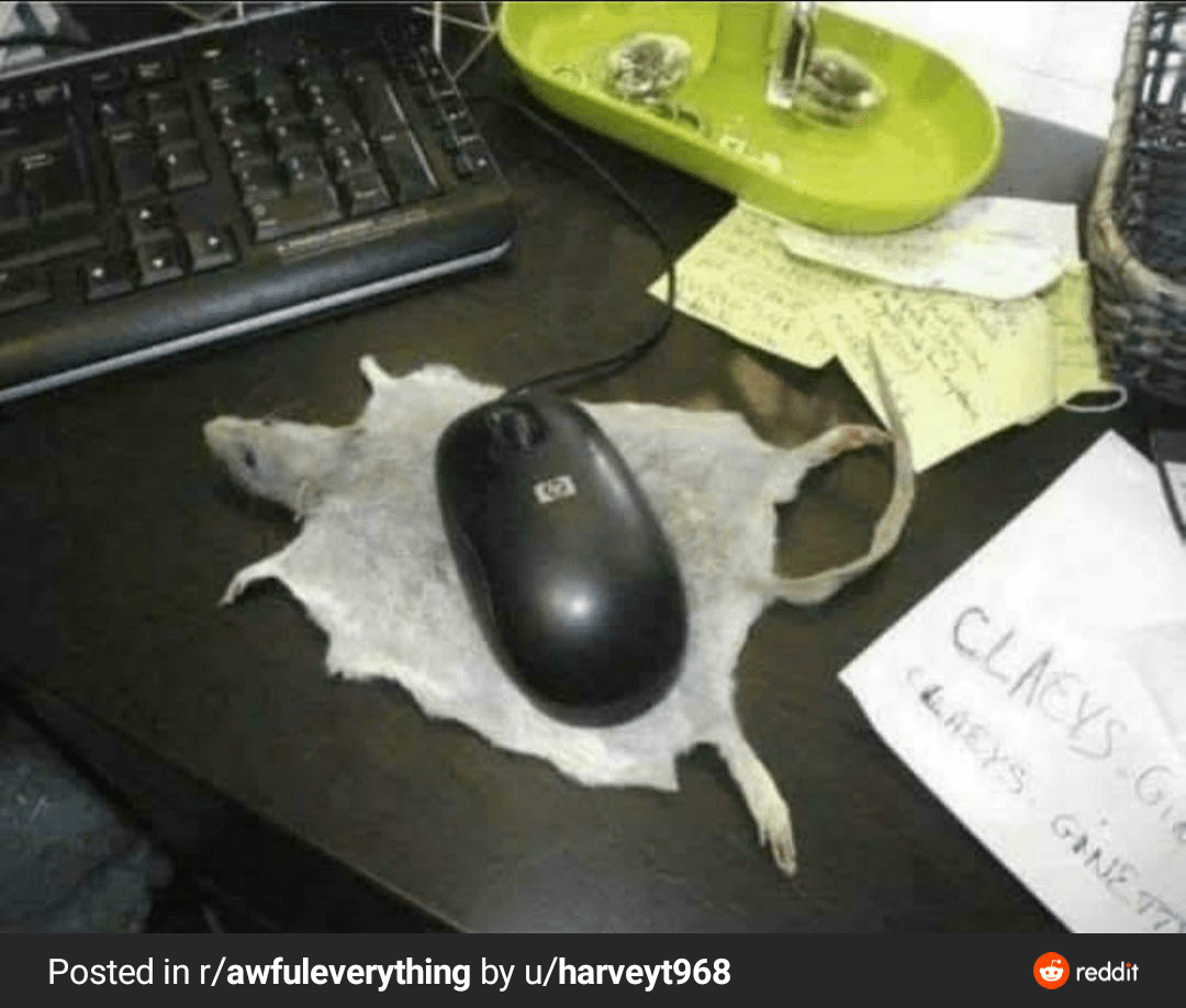 Janitor???? r/Scrubs