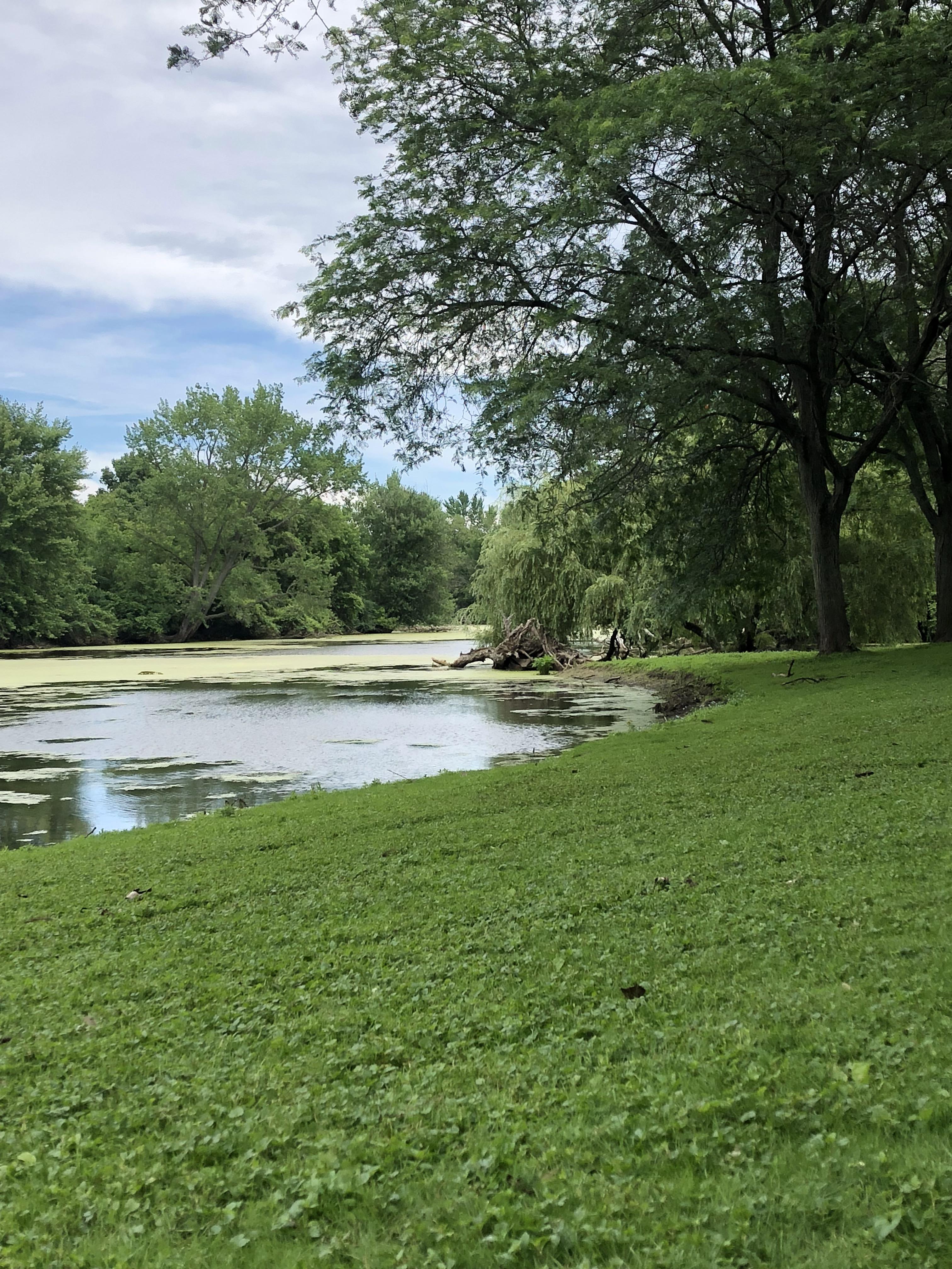 Riverside Park, Grand Rapids, MI r/SummerPorn