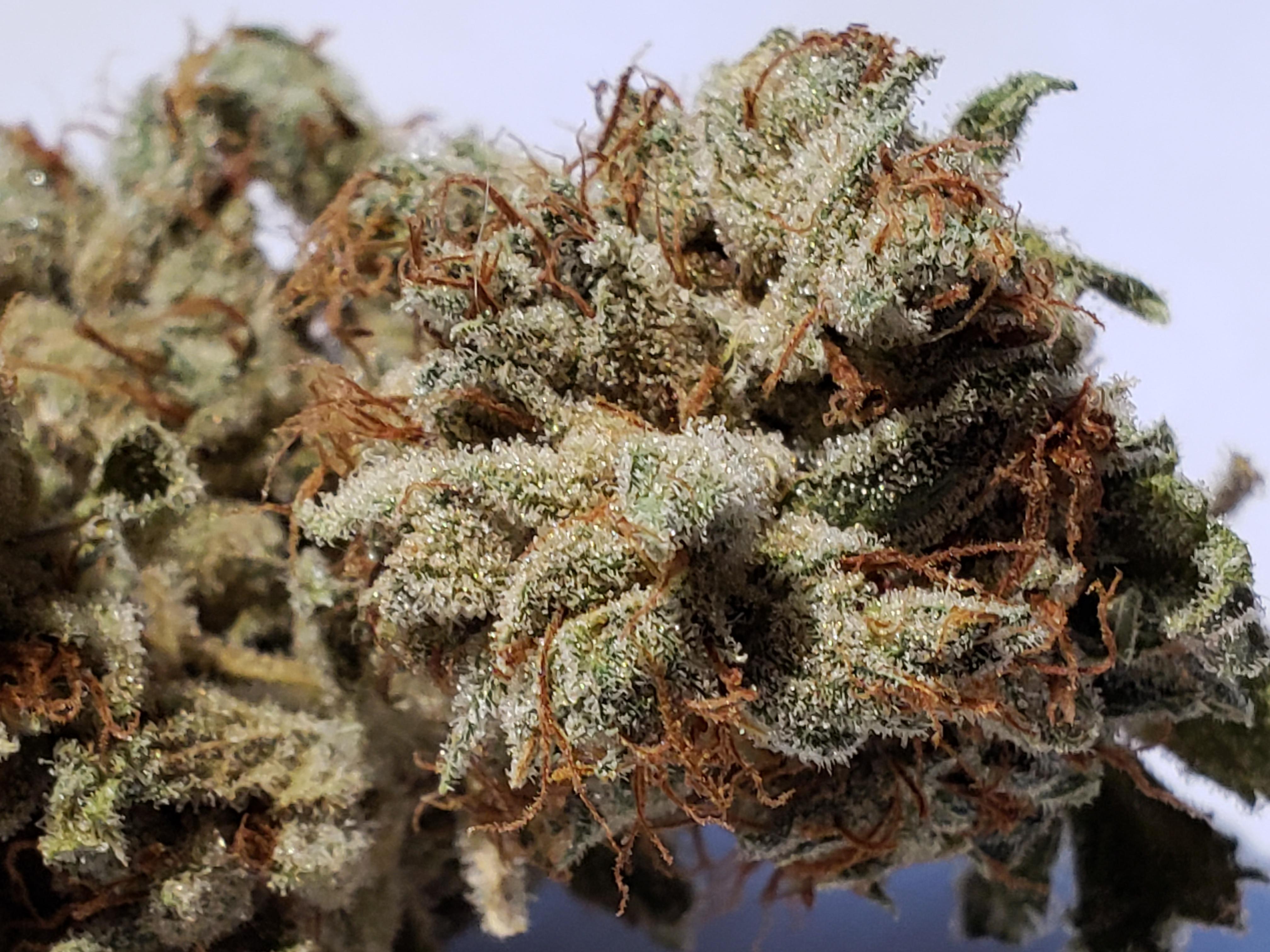 Frosty Sour Diesel! r/trees