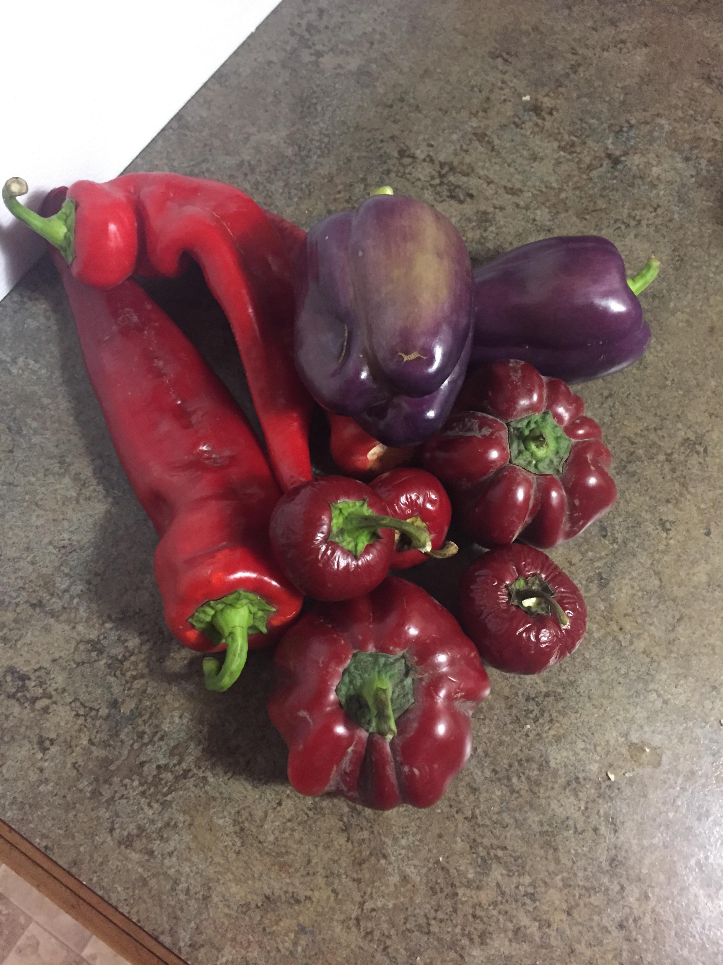 I don't often get such great looking peppers in Northern Canada what