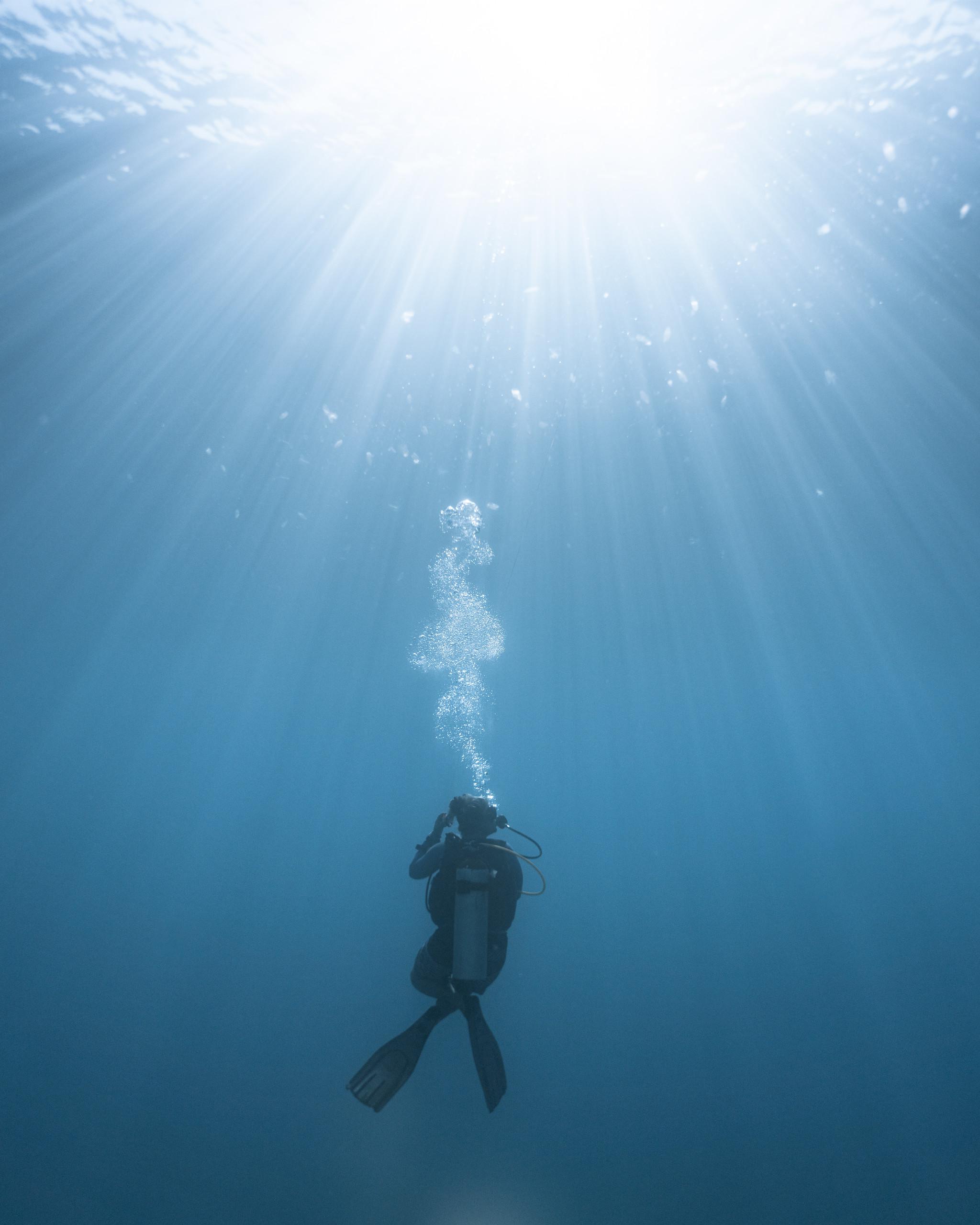 Safety Stop Rays : r/scuba