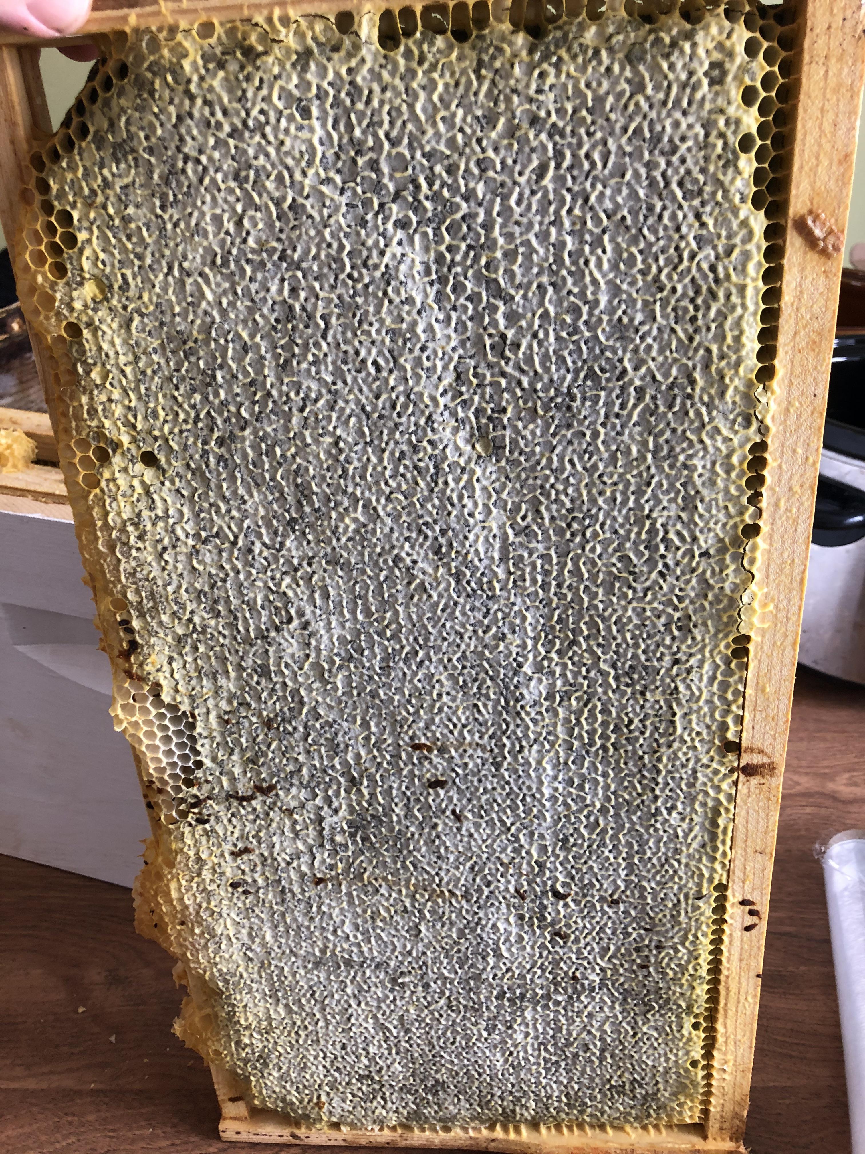 Dead hive. Honey still good? r/Beekeeping