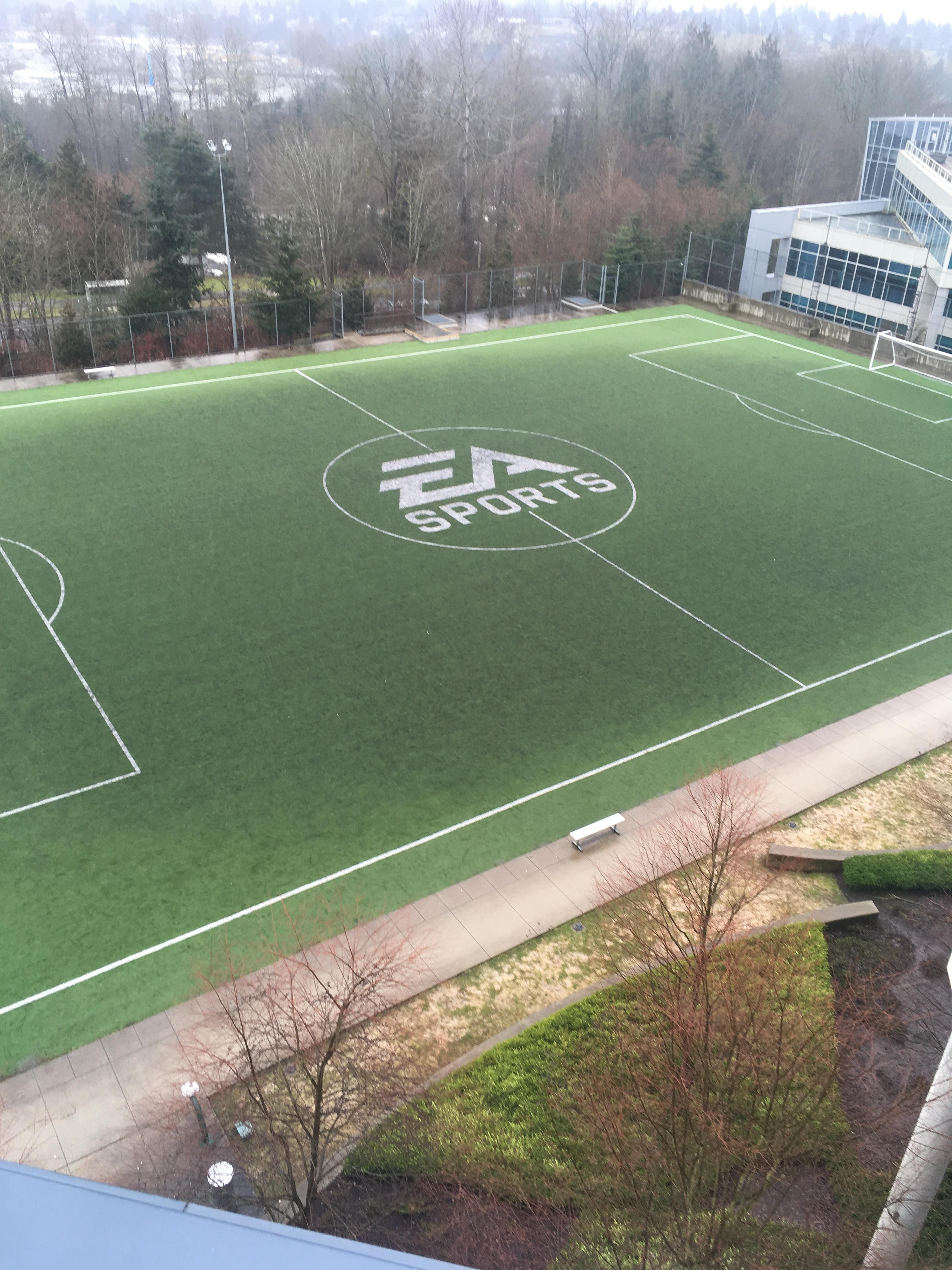 EA in Vancouver has a football field with their logo on it. r