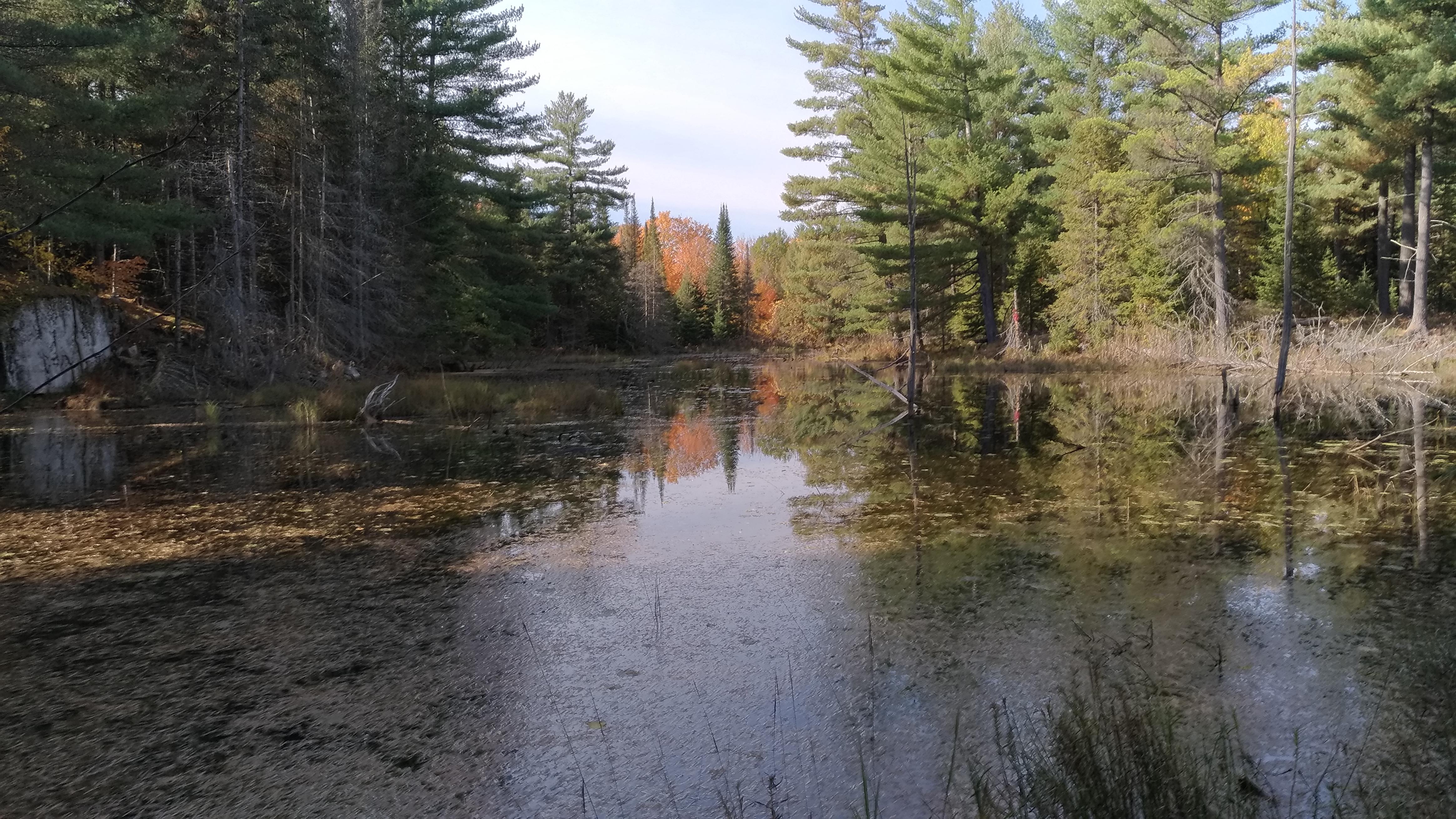High Lonesome Beaver Pond Trail, Pakenham, Ontario, Canada [OC] [4656 x