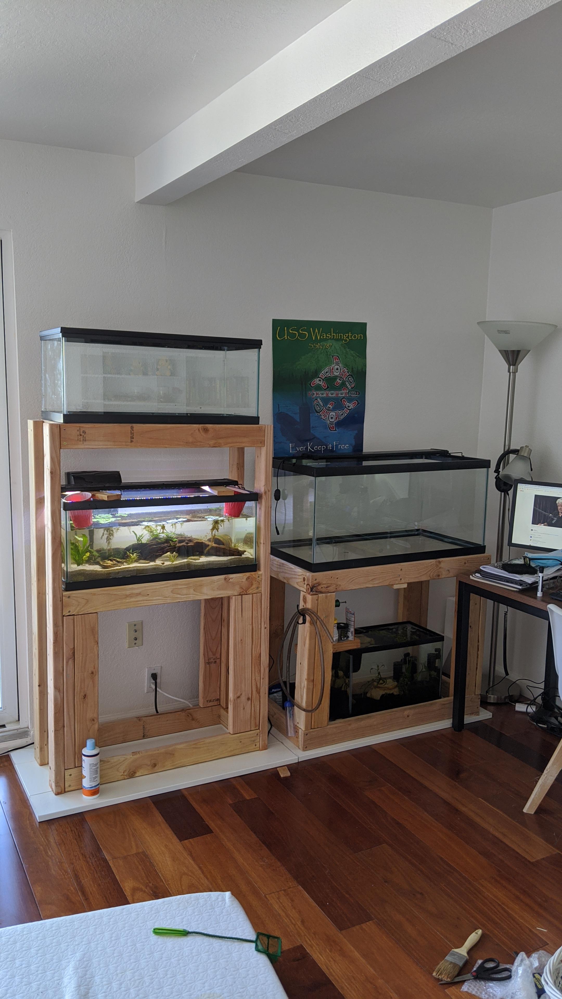 Racks all set up! r/Aquariums