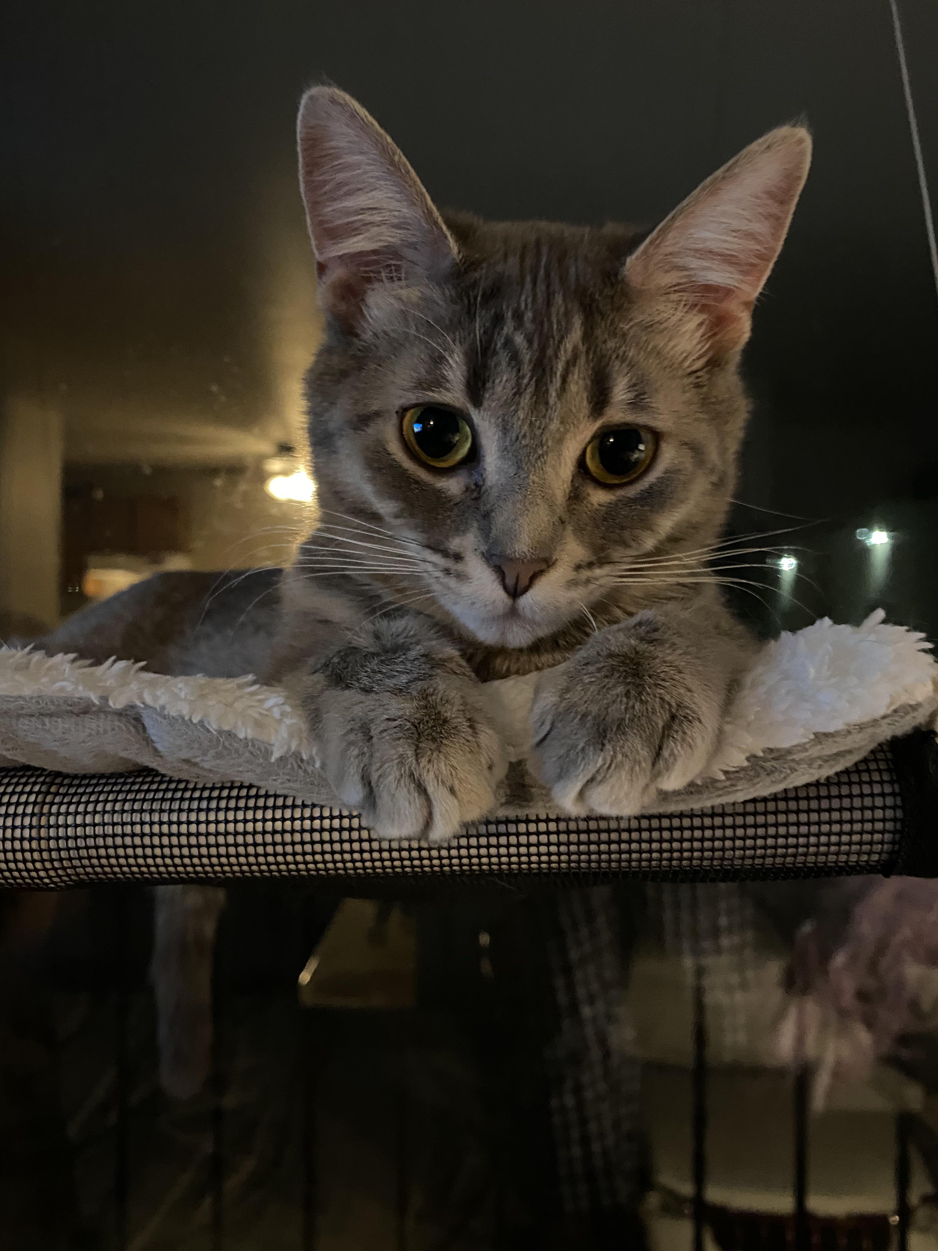 She hid for the first week, but now she can’t get enough