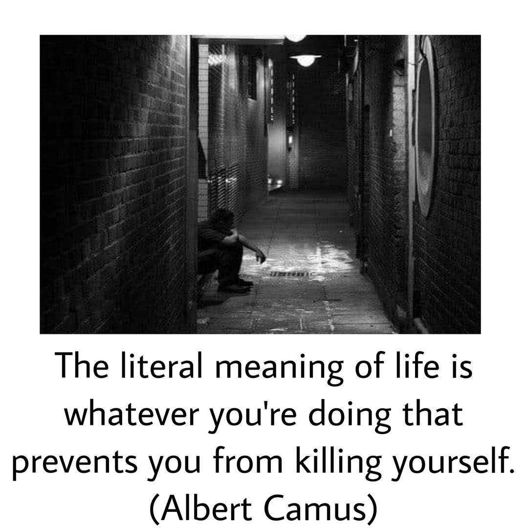 Literal meaning of life? r/nihilism
