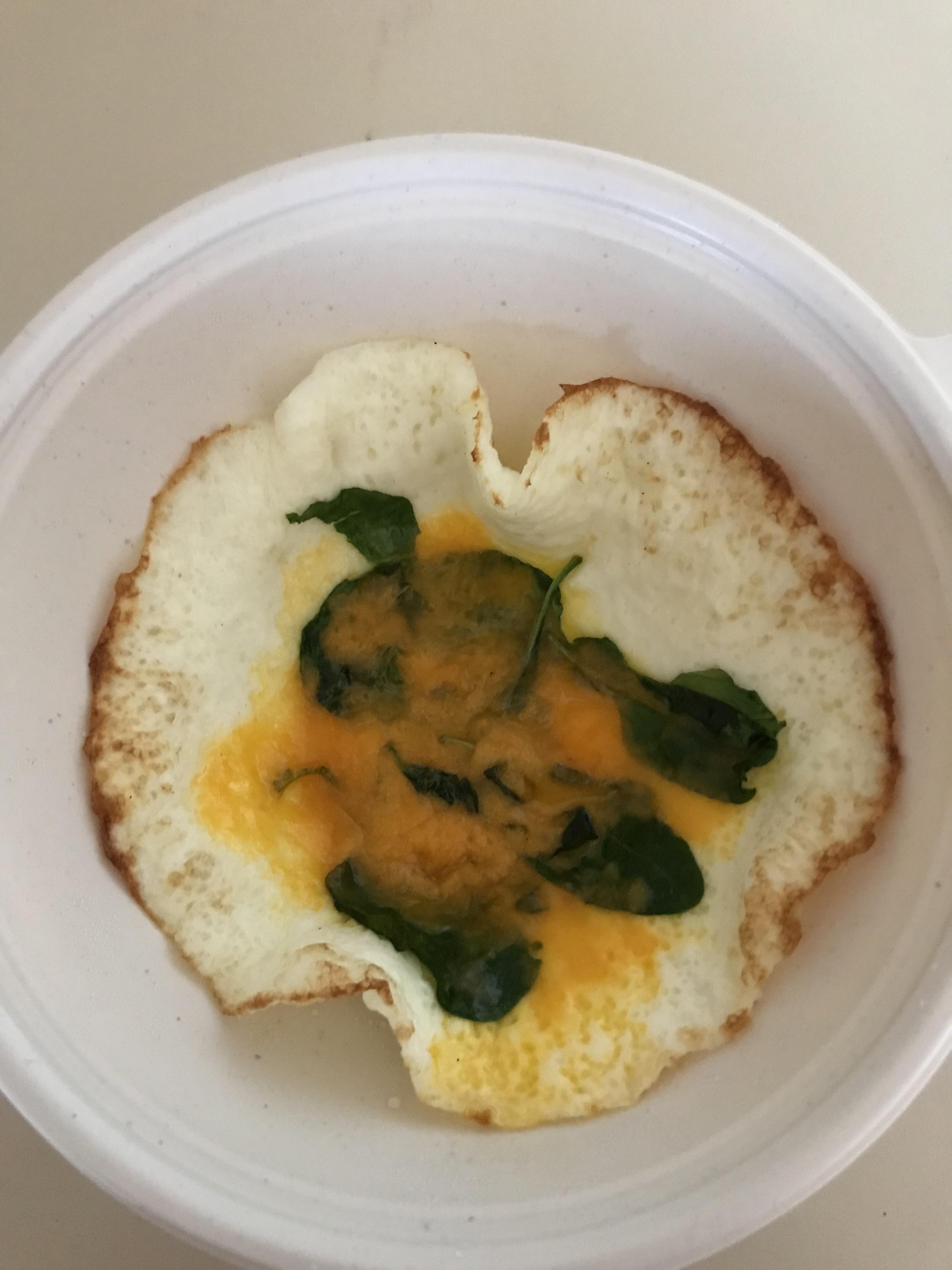 Egg white, spinach, and cheese omelette from Wawa r/shittyfoodporn