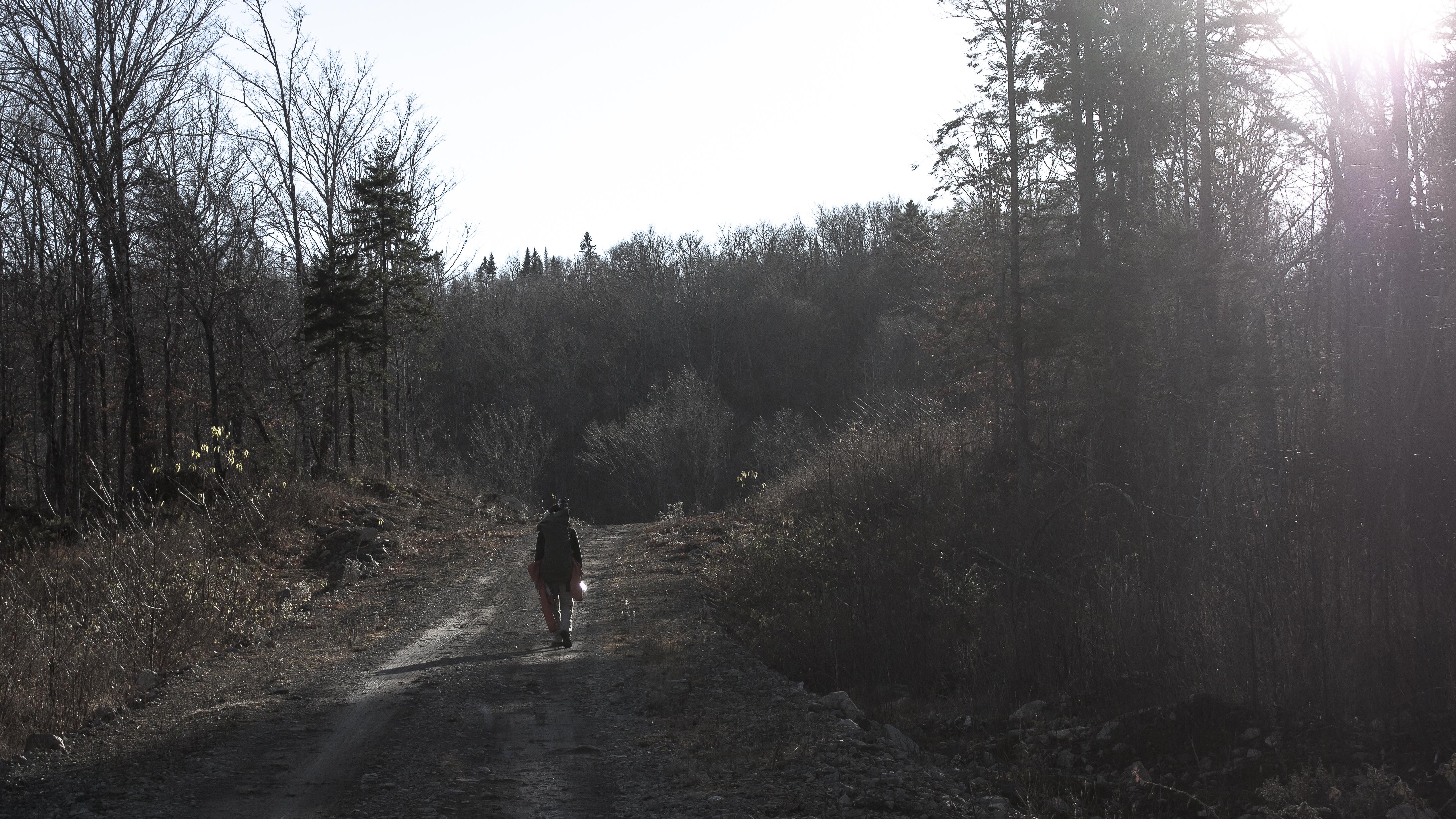 Old Logging Road, Howland Ridge, New Brunswick, Canada r/hiking