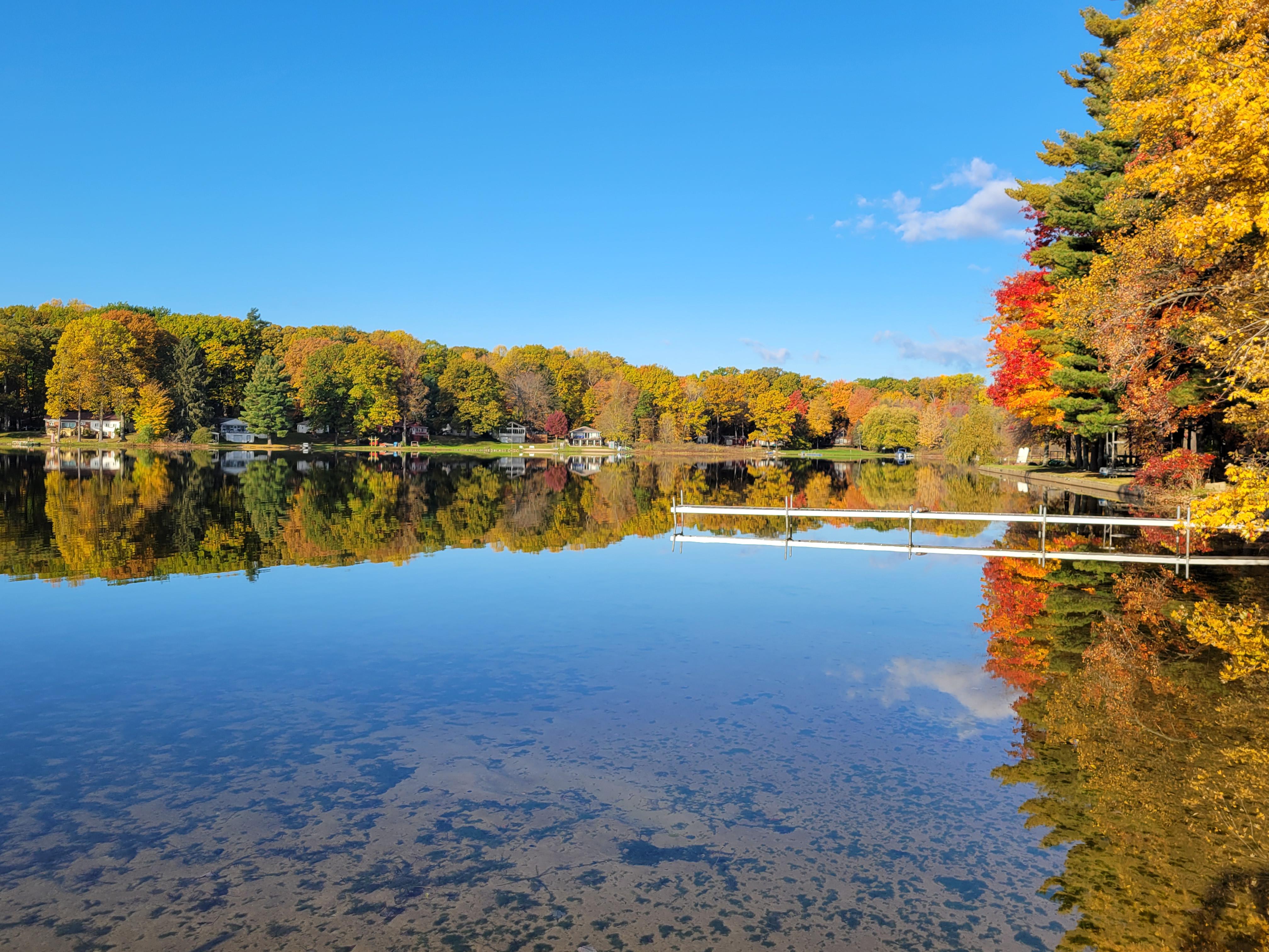 Saddle Lake 11.4.2021 r/Michigan