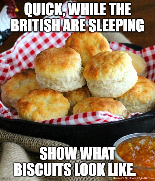 I can only imagine what you guys must think biscuits and gravy look