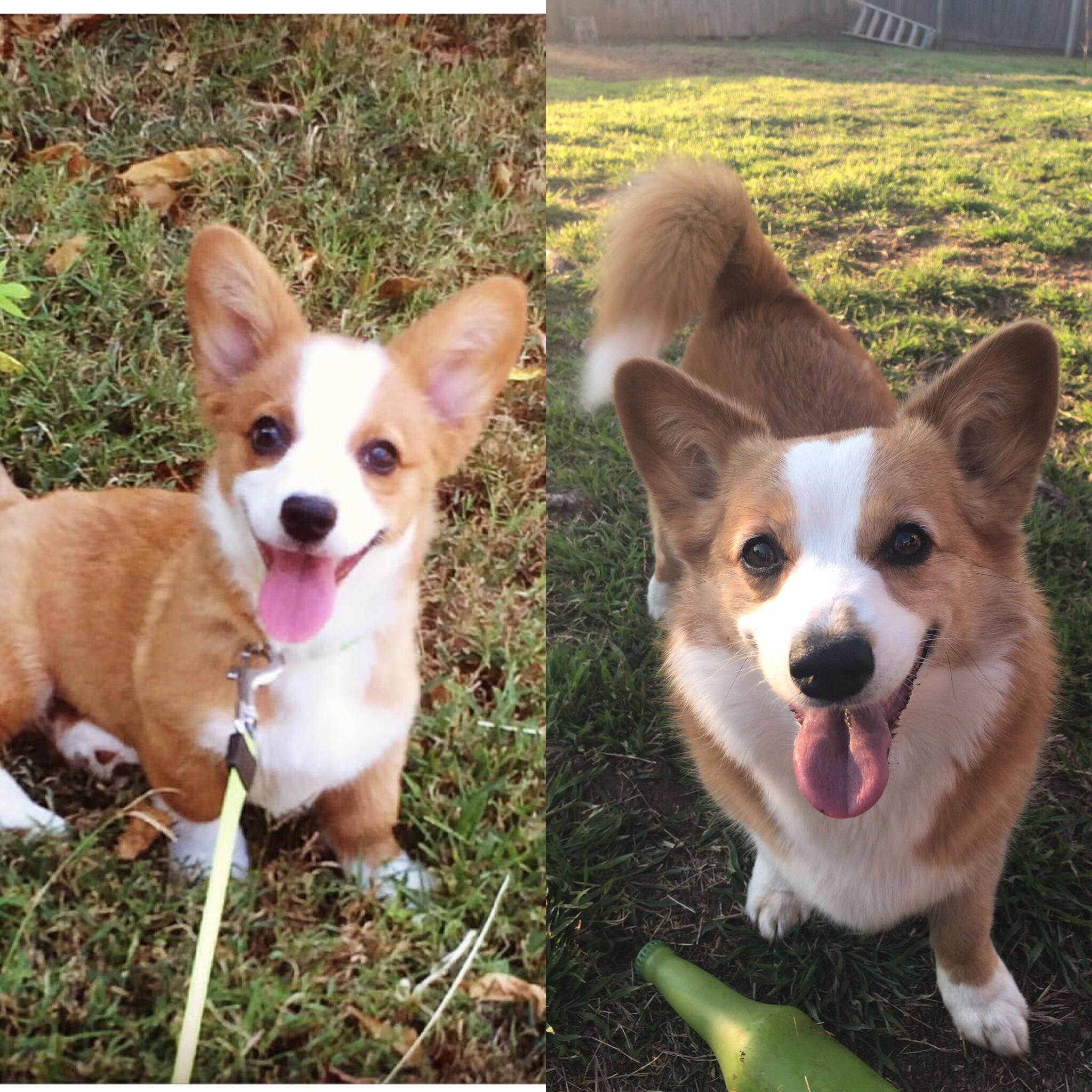 From 3 months old to 3 years old (she’ll be 4 in June)! She’s the best