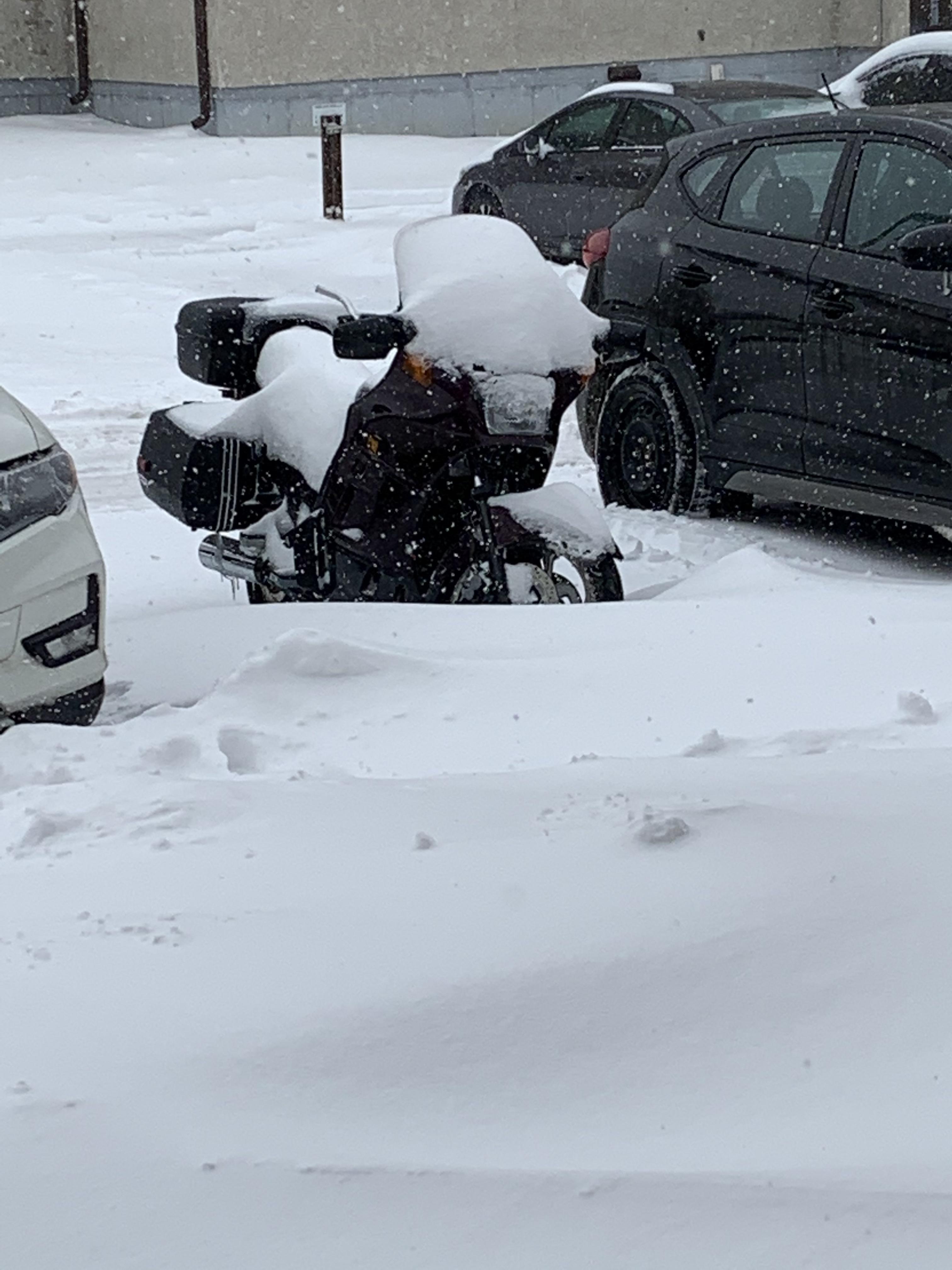 Great day for motorcycle riding 😂 r/Winnipeg