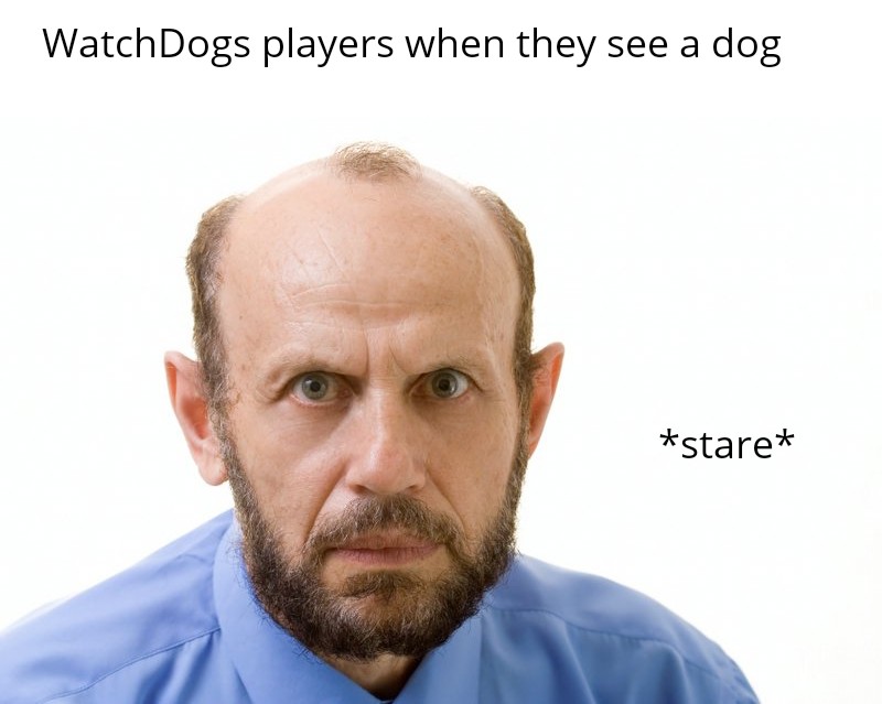 They watch... dogs r/antimeme