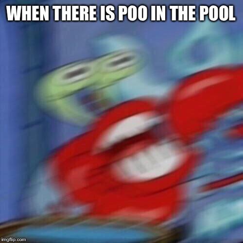When there is poop in the pool r/memes