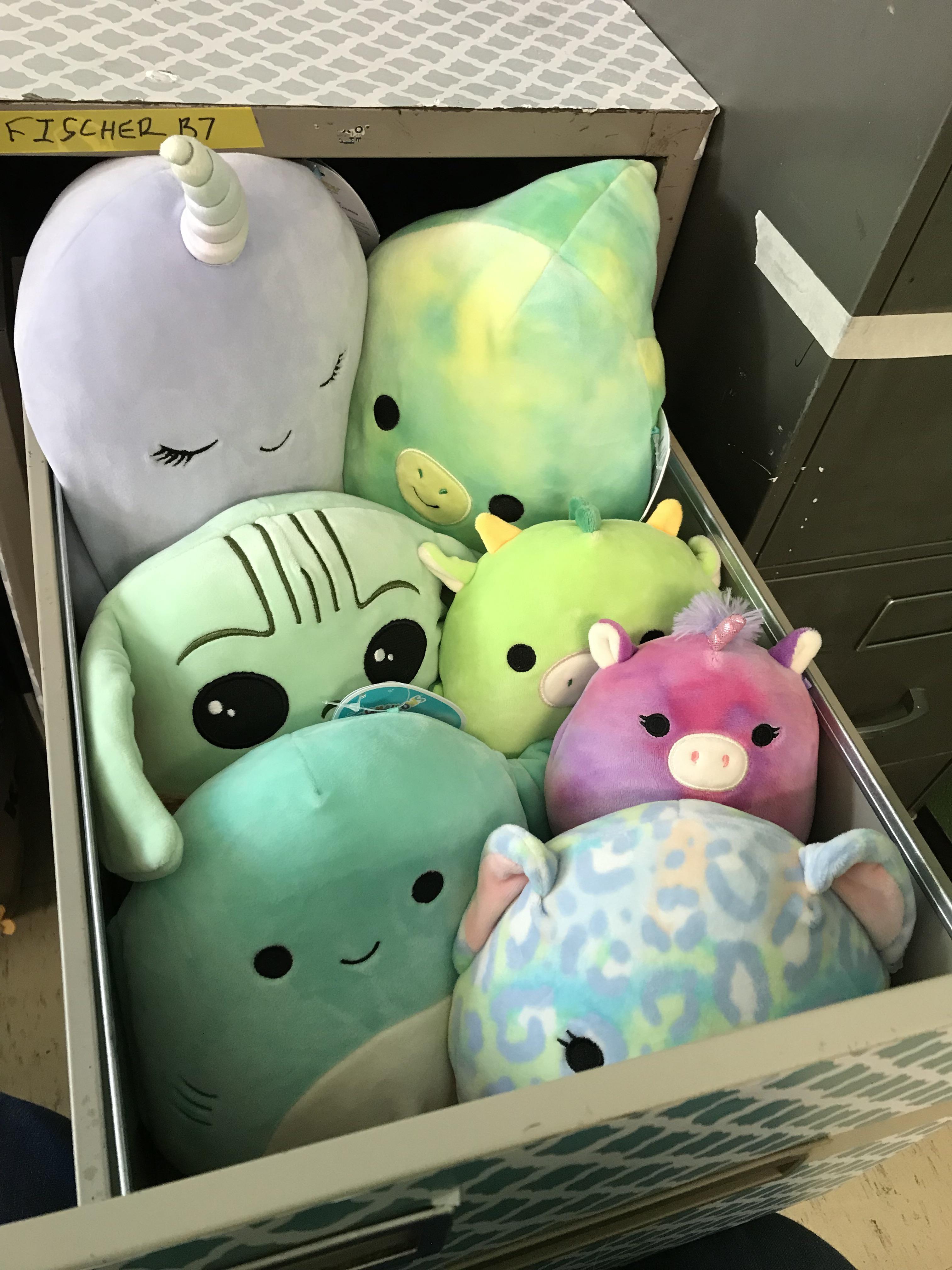 All tucked in for summer hibernation! My 8th graders love to