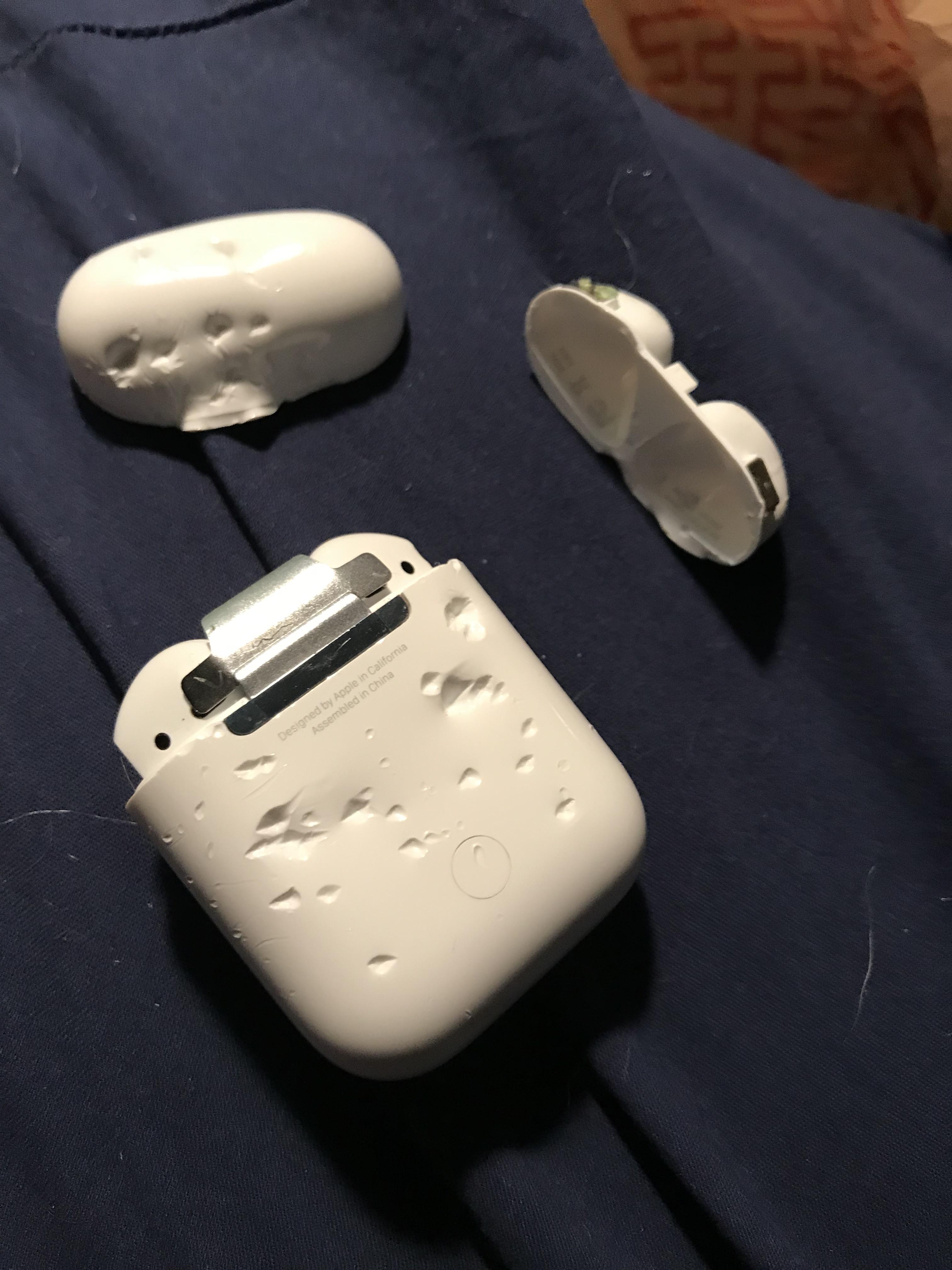 i love my 9 month old dog... r/airpods