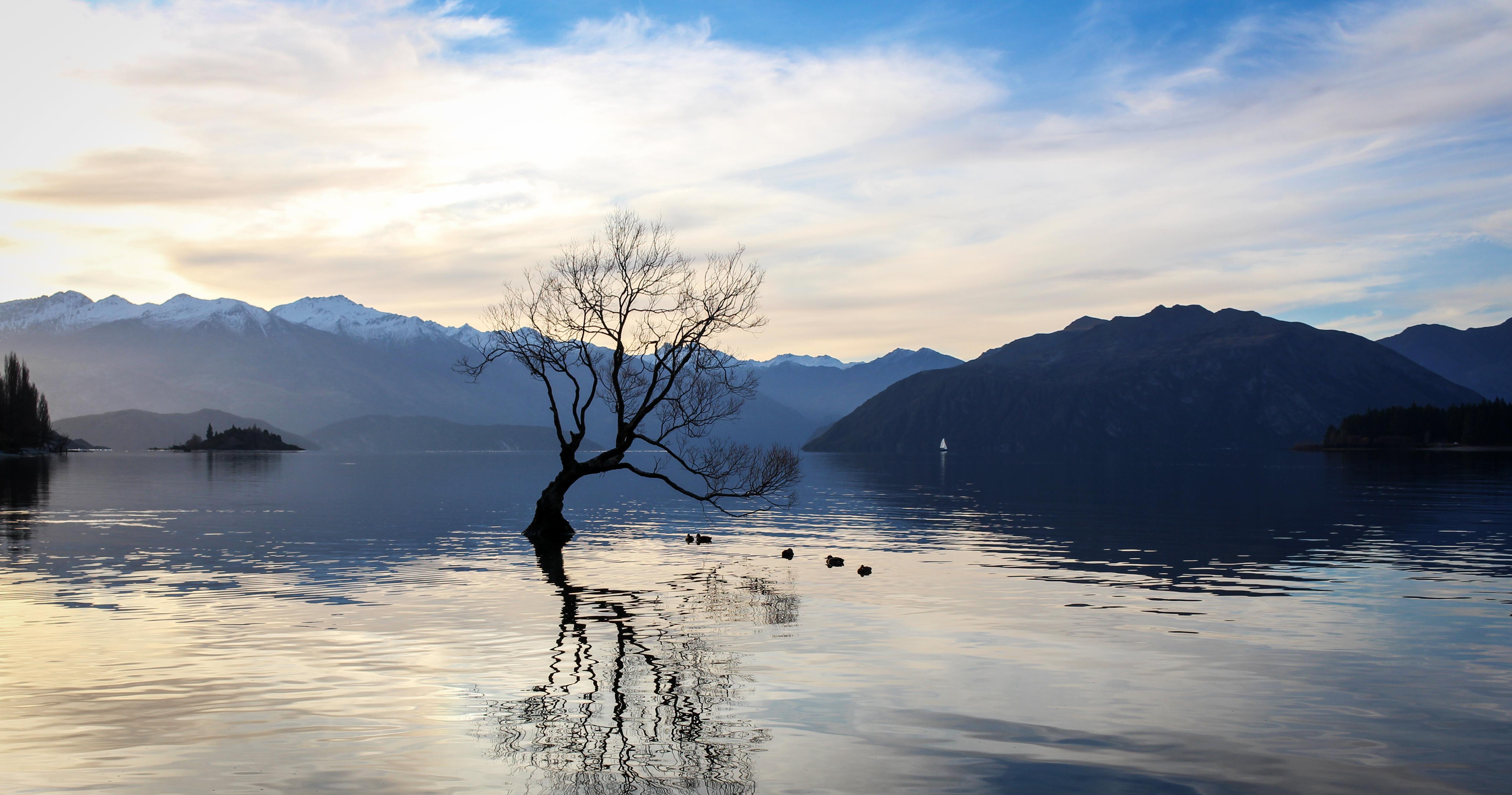 Expose Nature That Wanaka Tree, Queenstown, New Zealand [5128 × 2699] [OC]