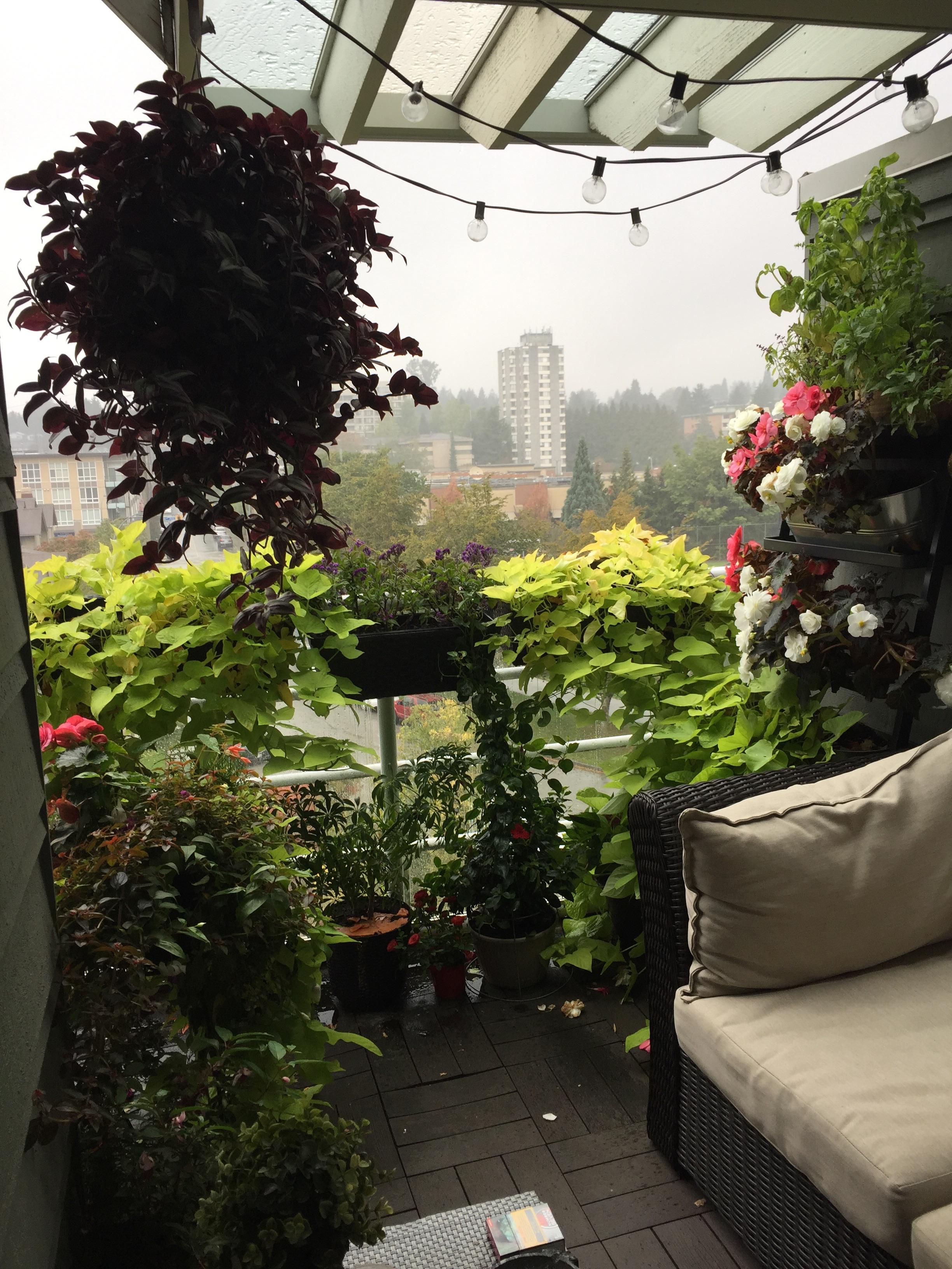My little apartment garden last year. Looking forward to recreating it soon! r/gardening