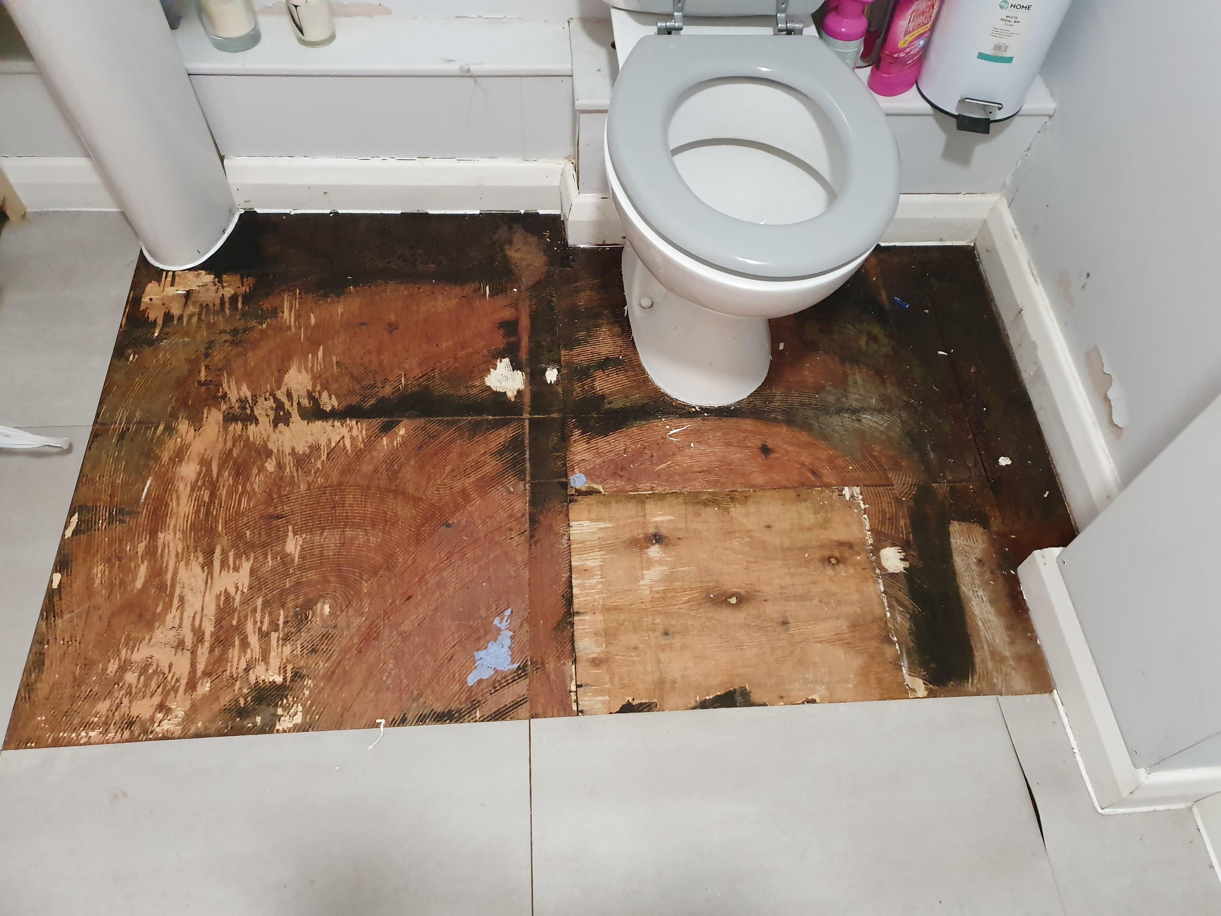 TIL there's been a slow leak from the cistern to the floorboards for