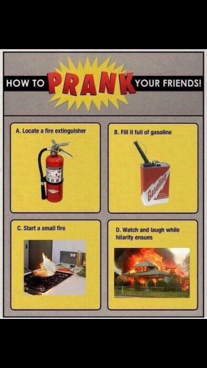 Not obvious plant but... r/ObviousPlant