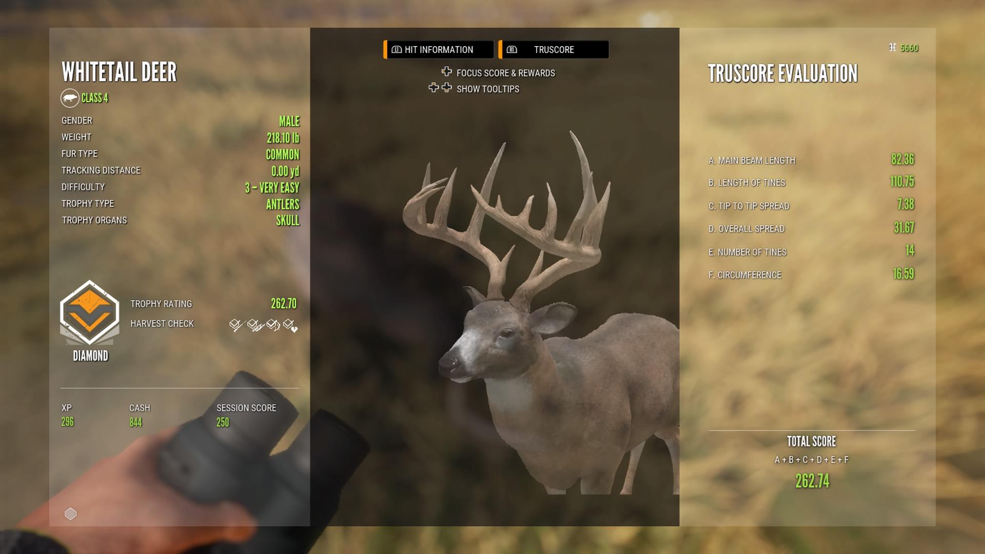 First Diamond Whitetail of the Great One Grind . Level 3 Trophy Rating