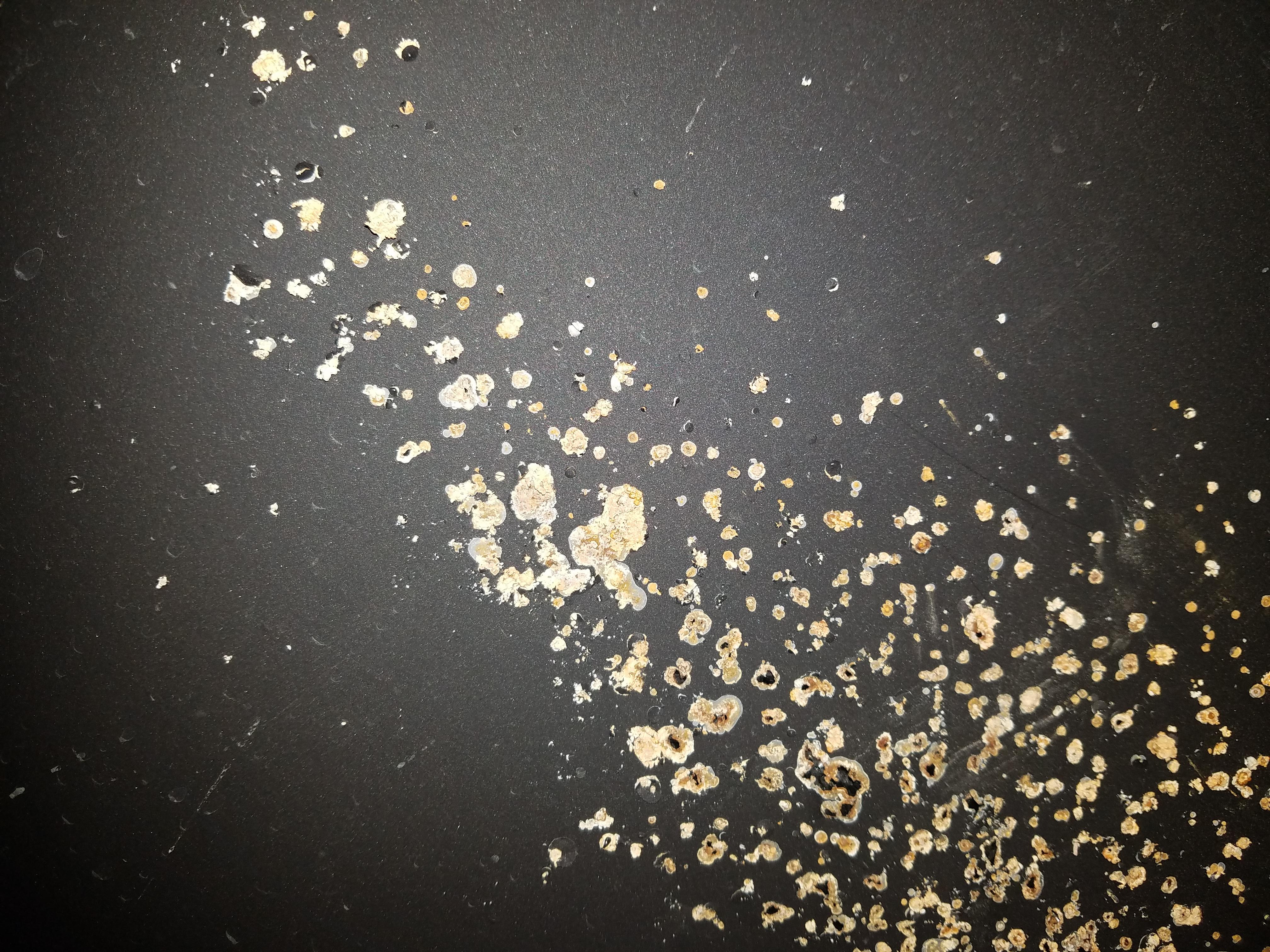 I've looked everywhere, but what is this crystalline substance on the