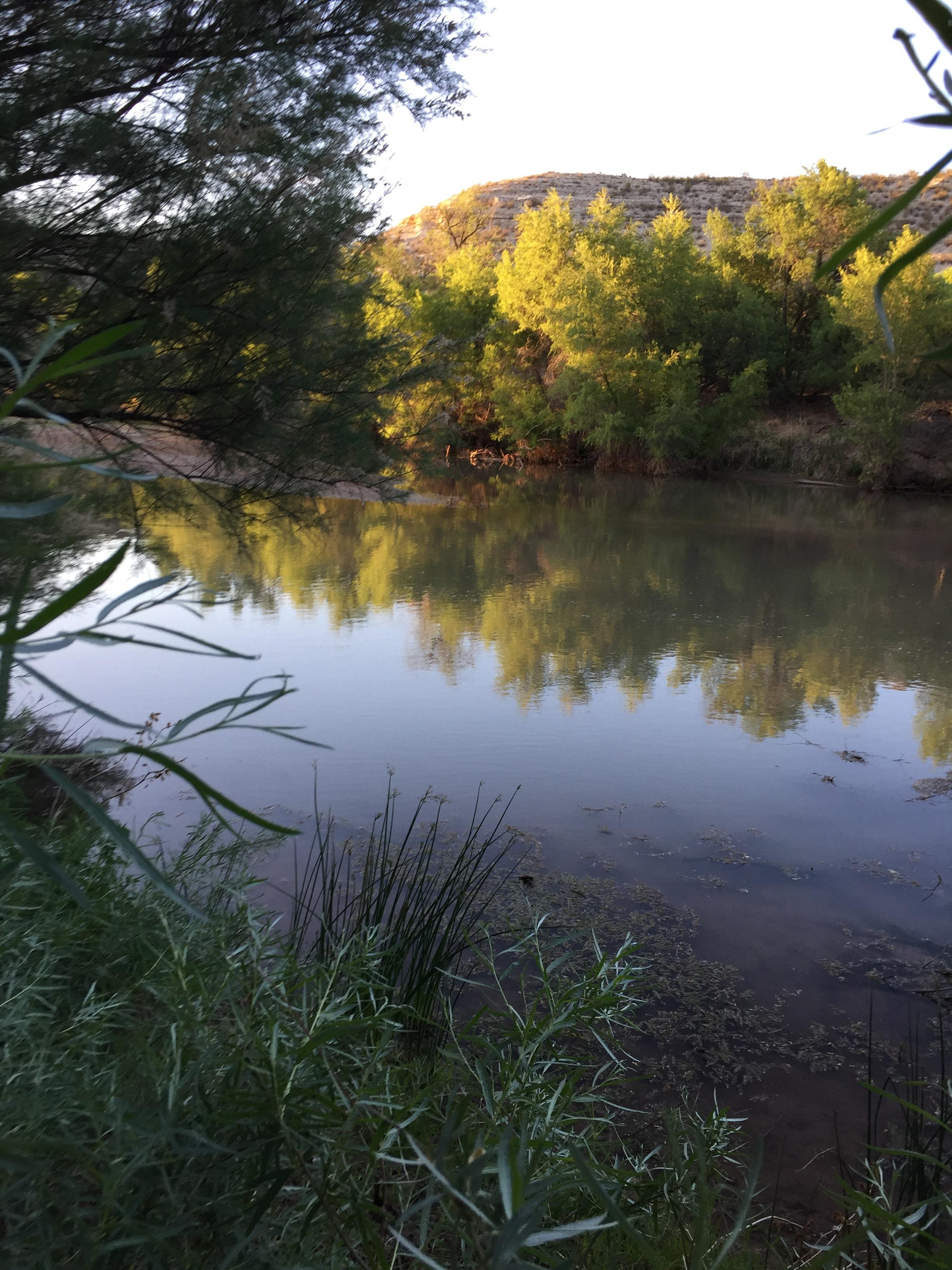 verde river reflections r/arizona