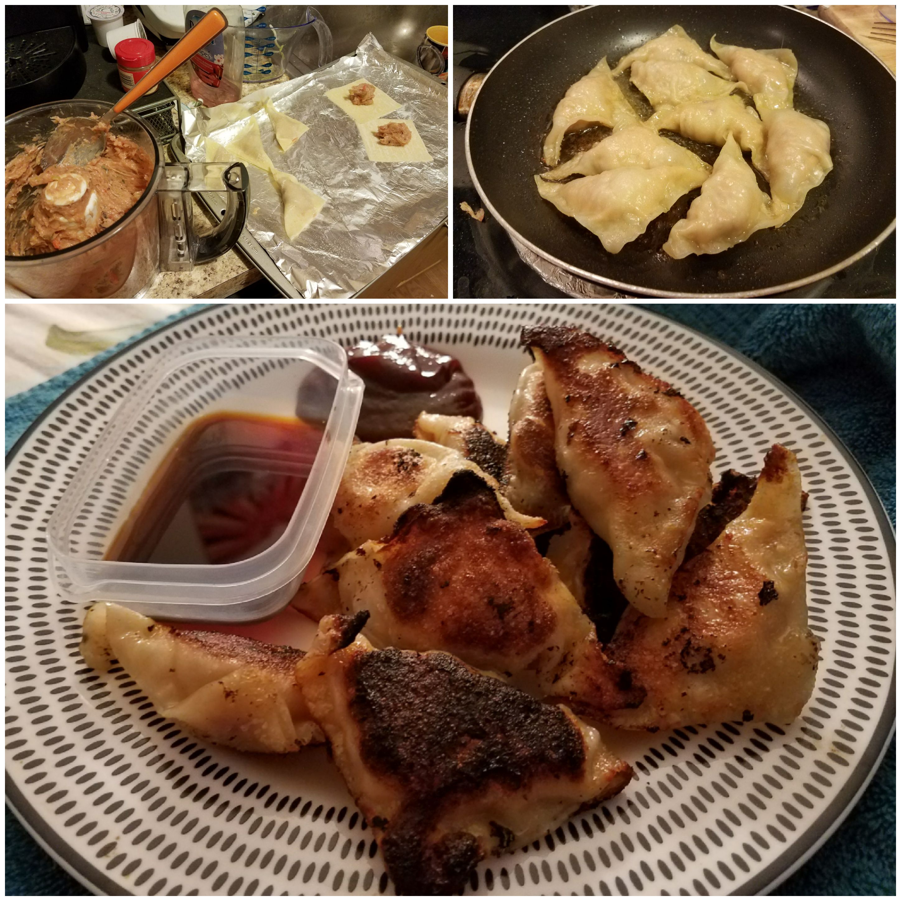 [Homemade] Pan Fried Pork Pot Stickers r/FoodPorn