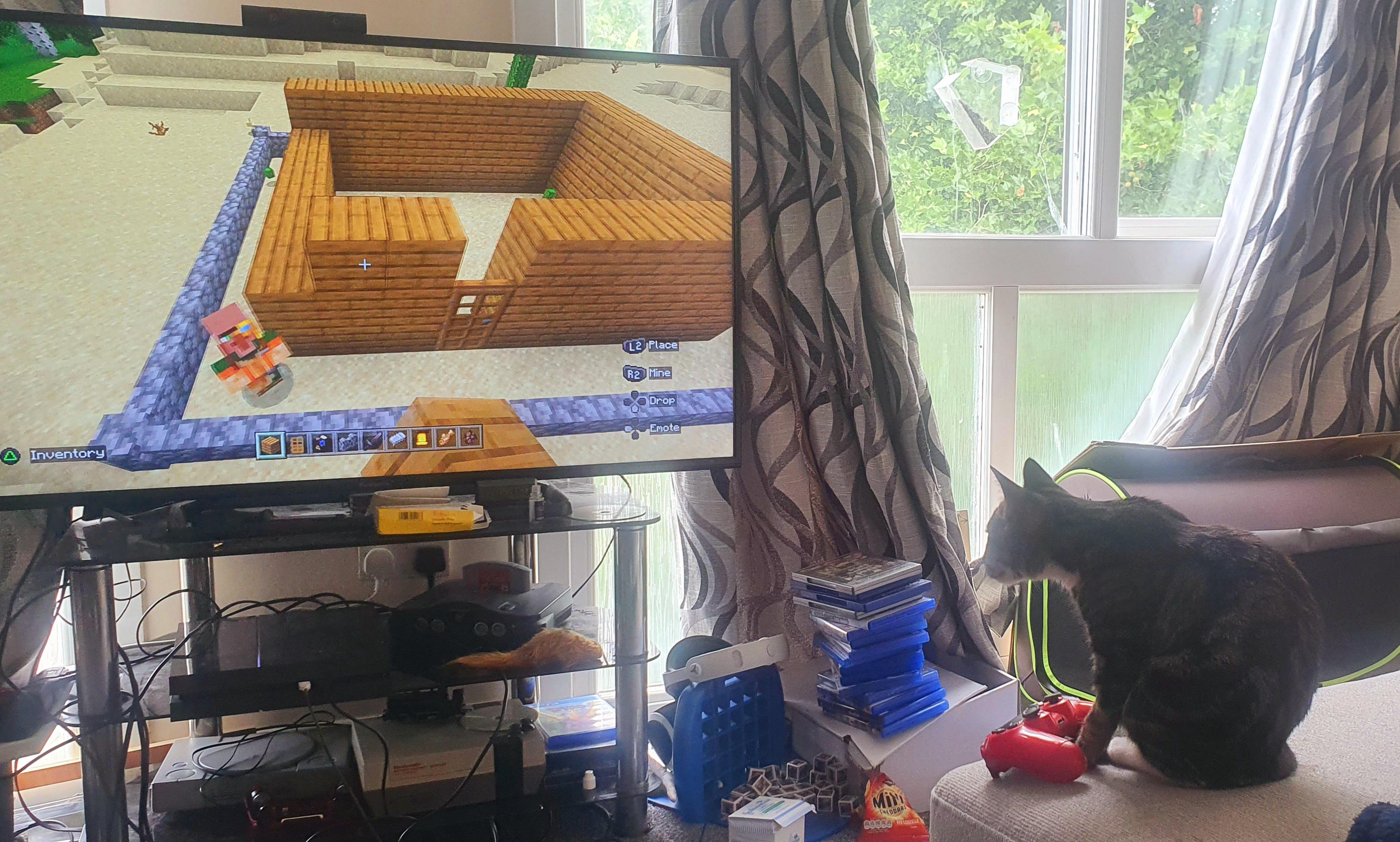 Anyone know how I get my cat to stop playing Minecraft? r/cats