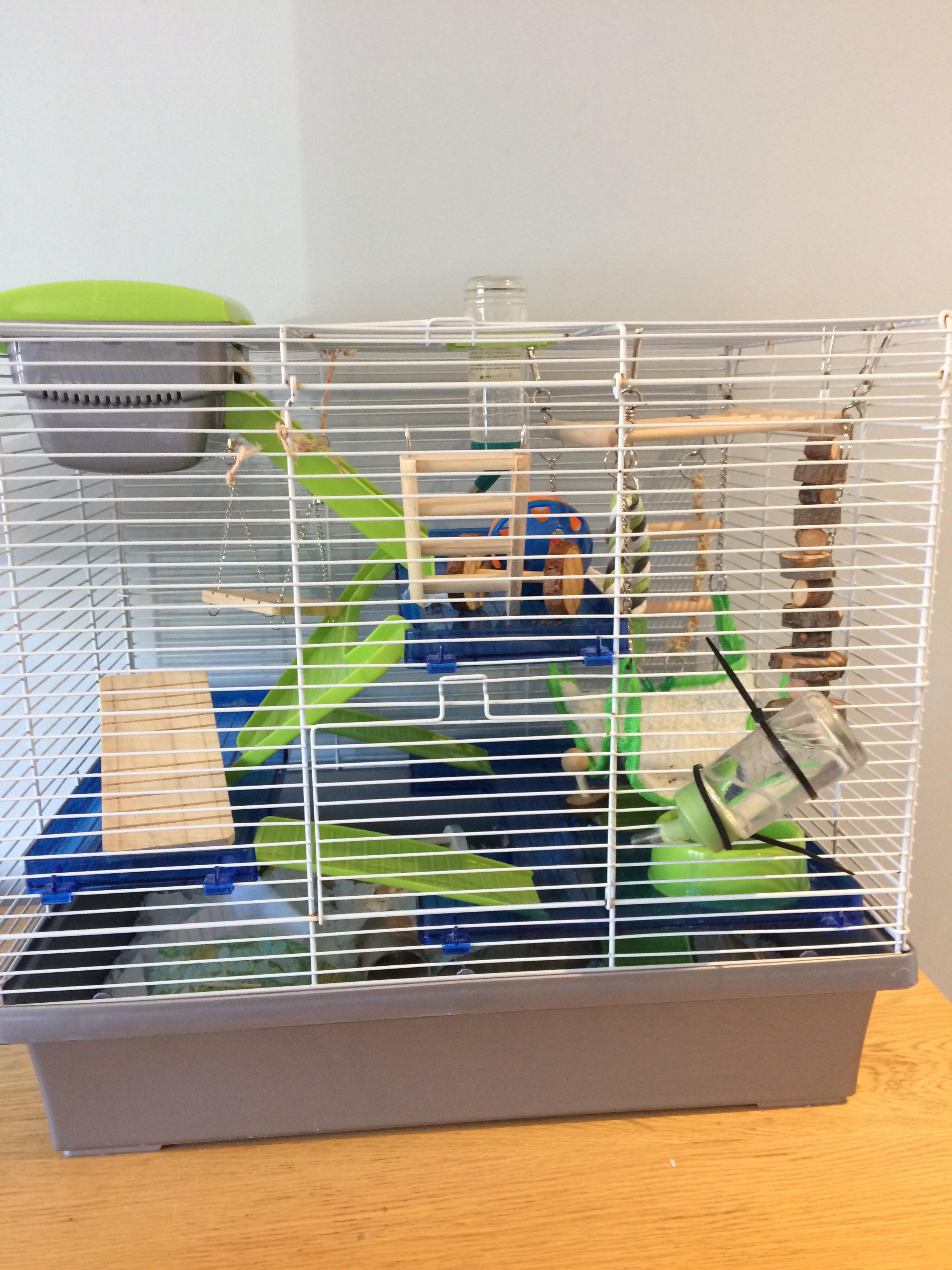 New mice cage setup, tips/ suggestions appreciated! r/PetMice