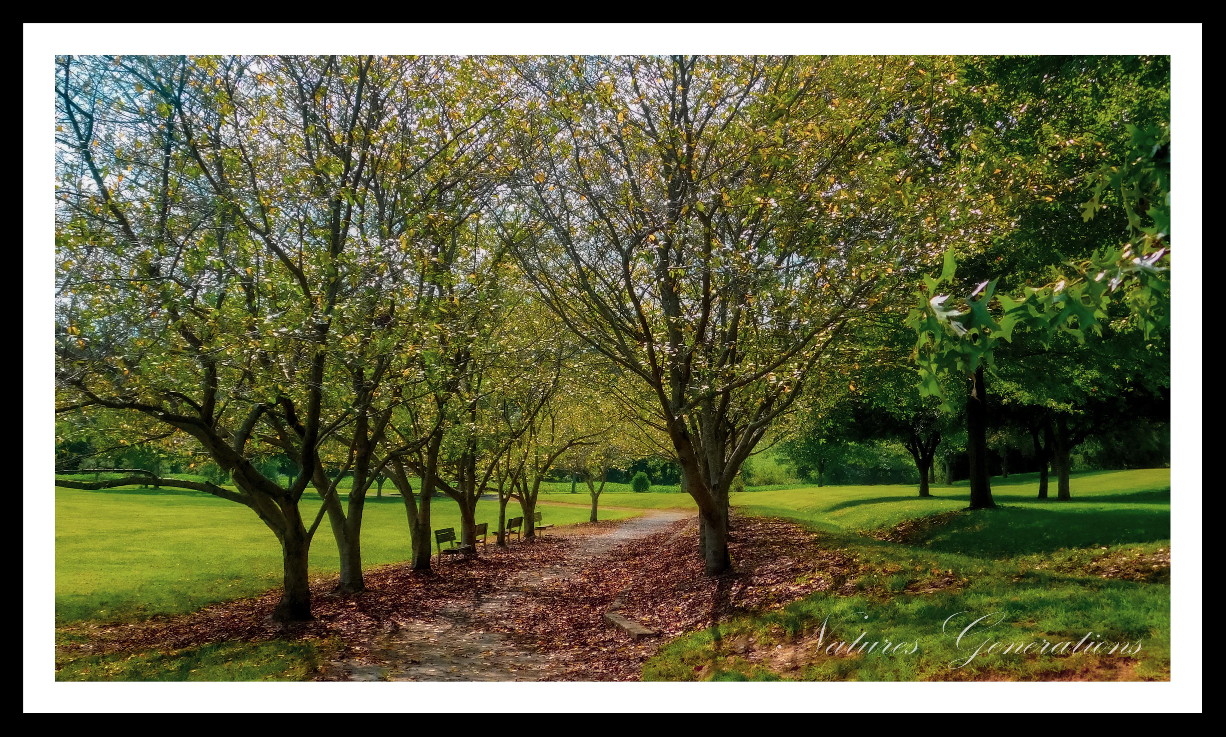 'Walk in the Park' Tobaccoville Park, NC 2018 r/naturepics