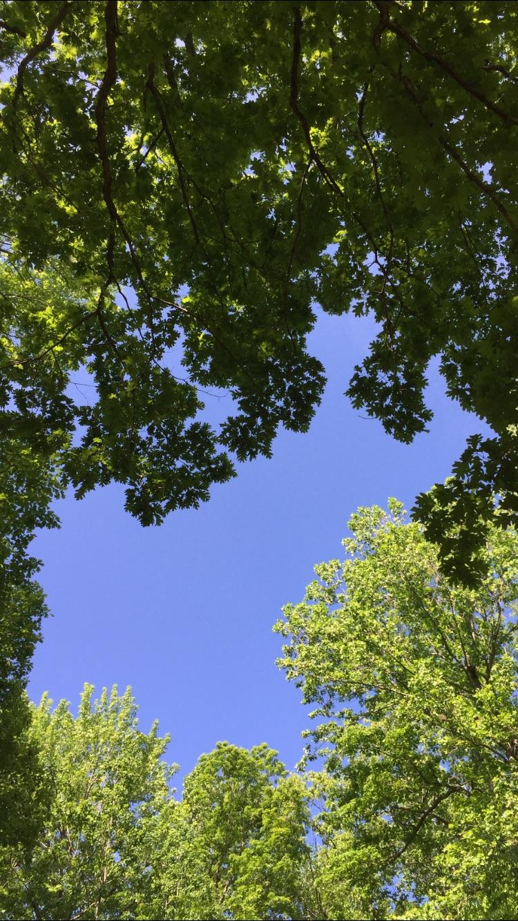 Iron Hill Park. Newark, Delaware r/pics