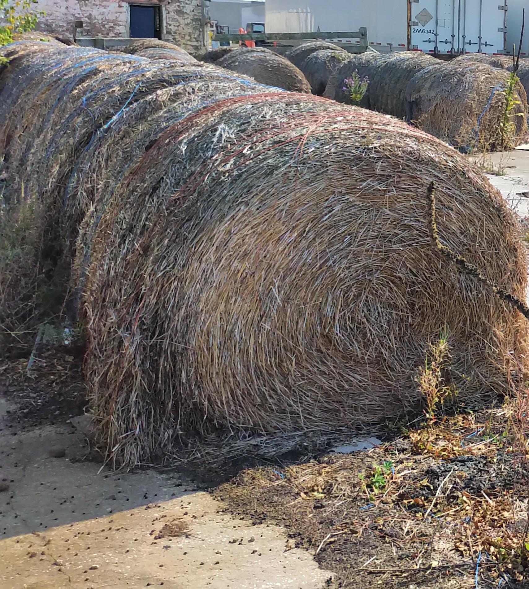 Who will find a use for these? I rented a farm house to store vehicles