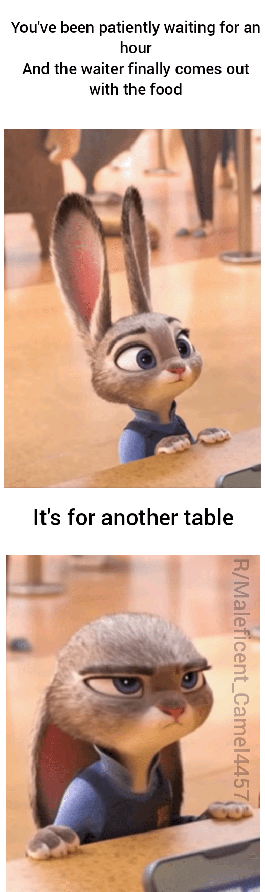 Zootopia license plate? zootopia